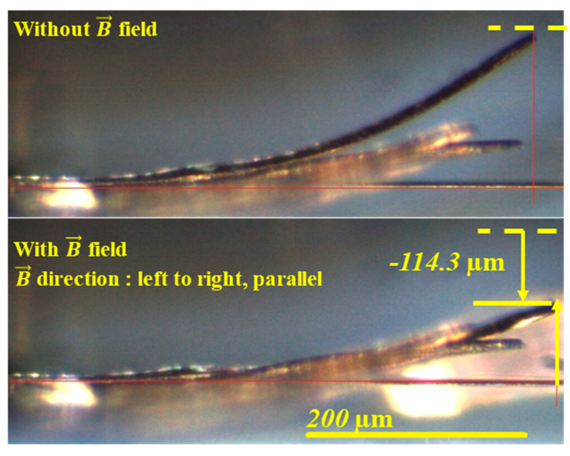 Micromachines 11 00523 g008