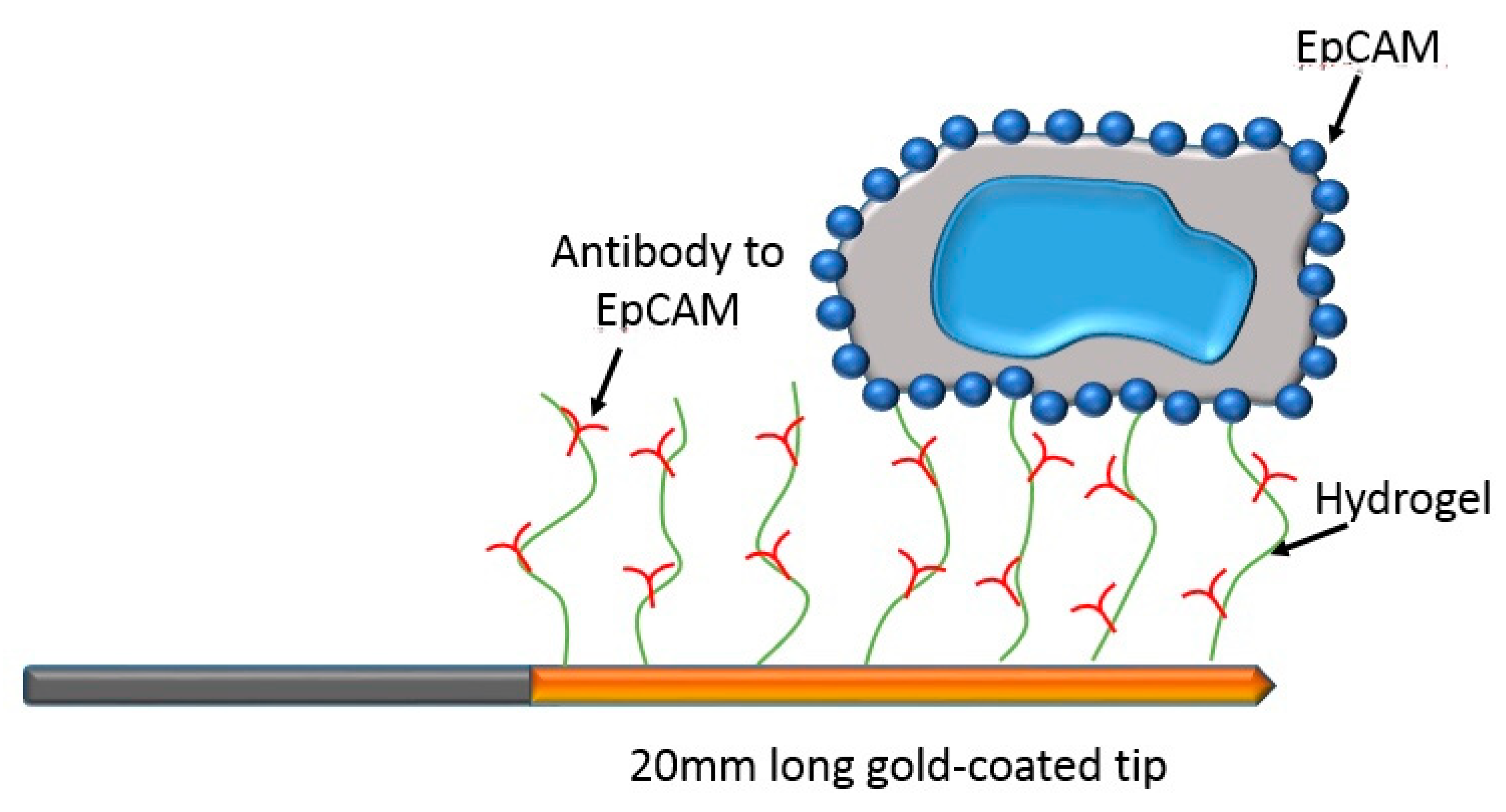 Micromachines 11 00531 g005