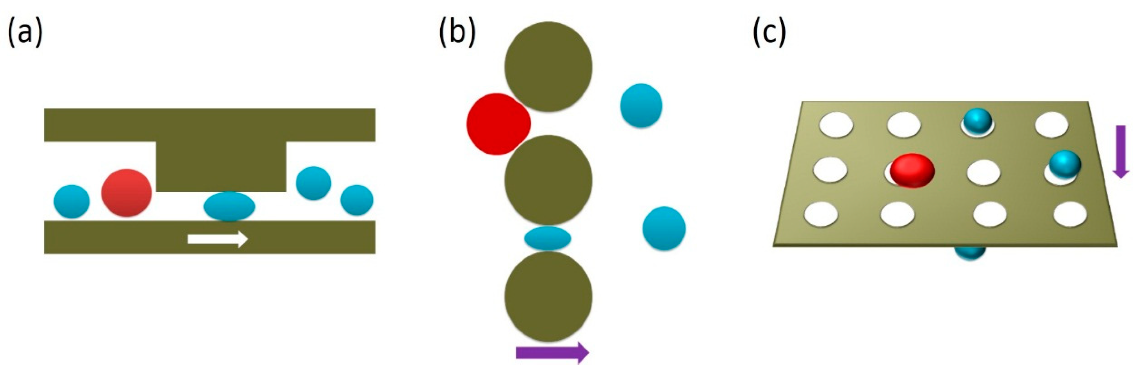 Micromachines 11 00531 g006