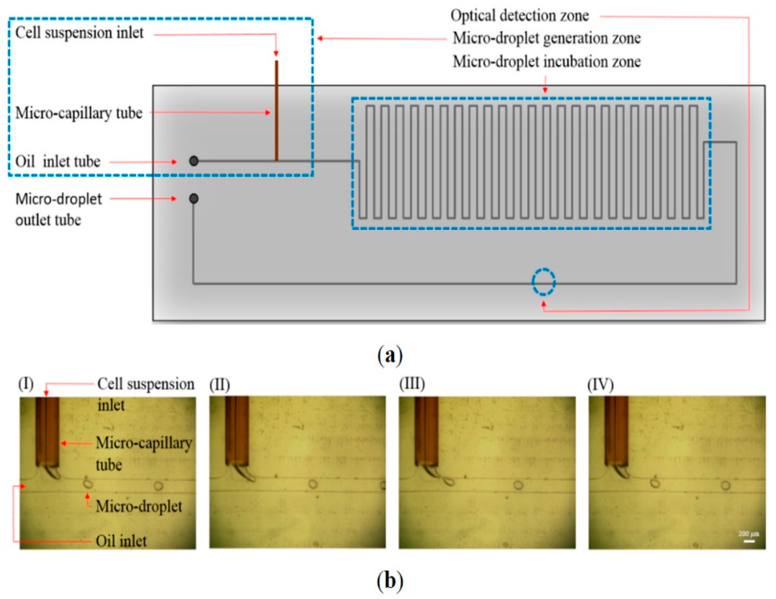 Micromachines 11 00531 g013