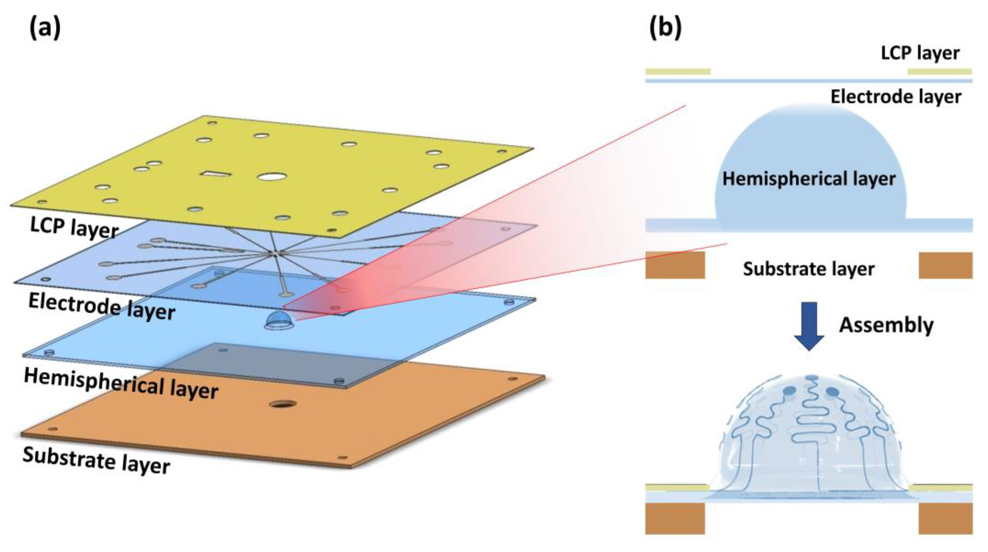 Micromachines 11 00538 g002
