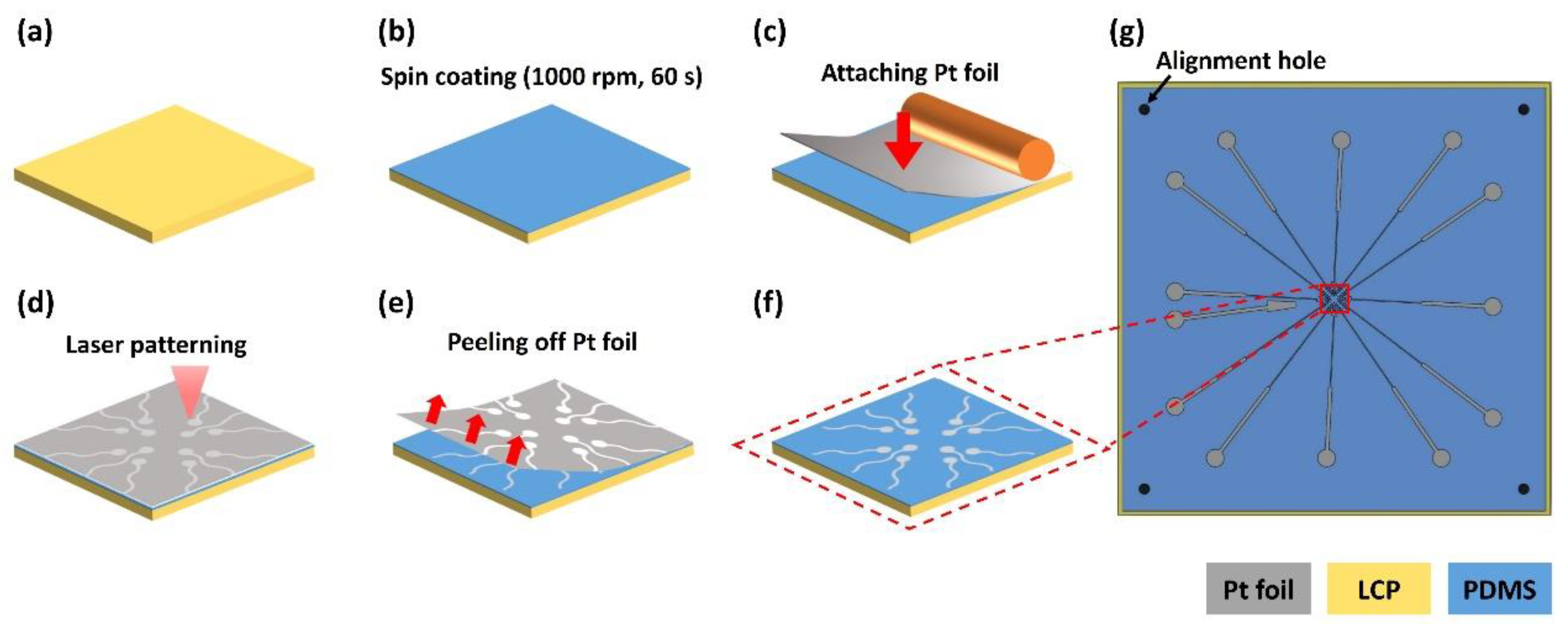 Micromachines 11 00538 g005