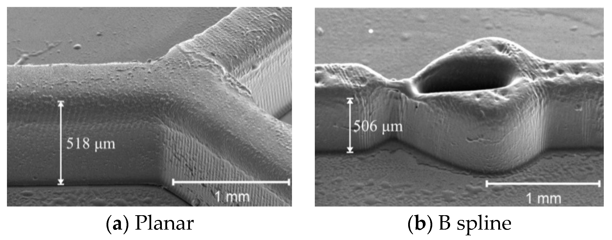 Micromachines 11 00548 g009