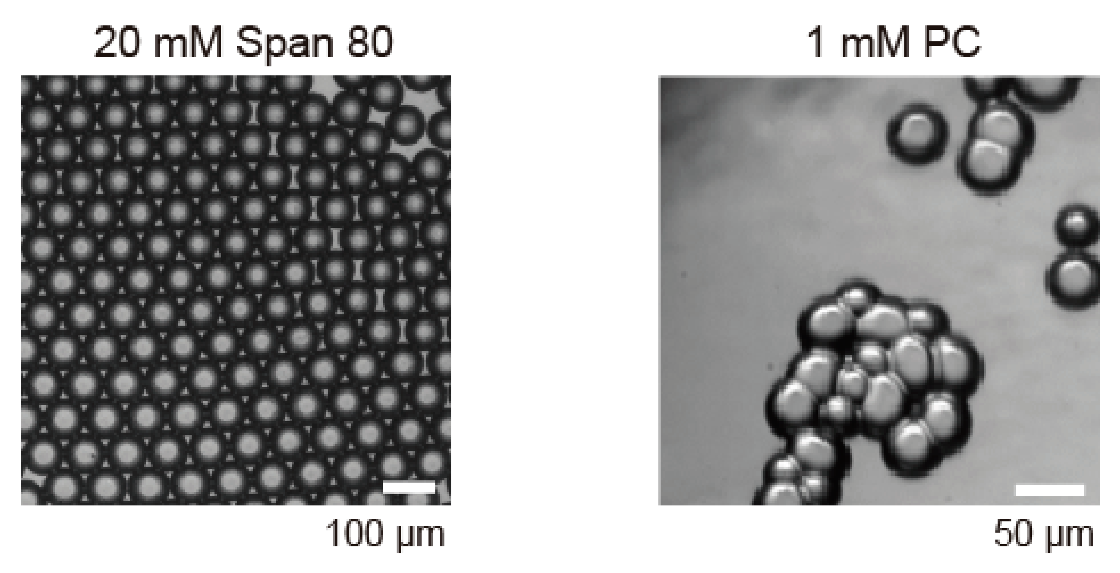 Micromachines 11 00701 g003