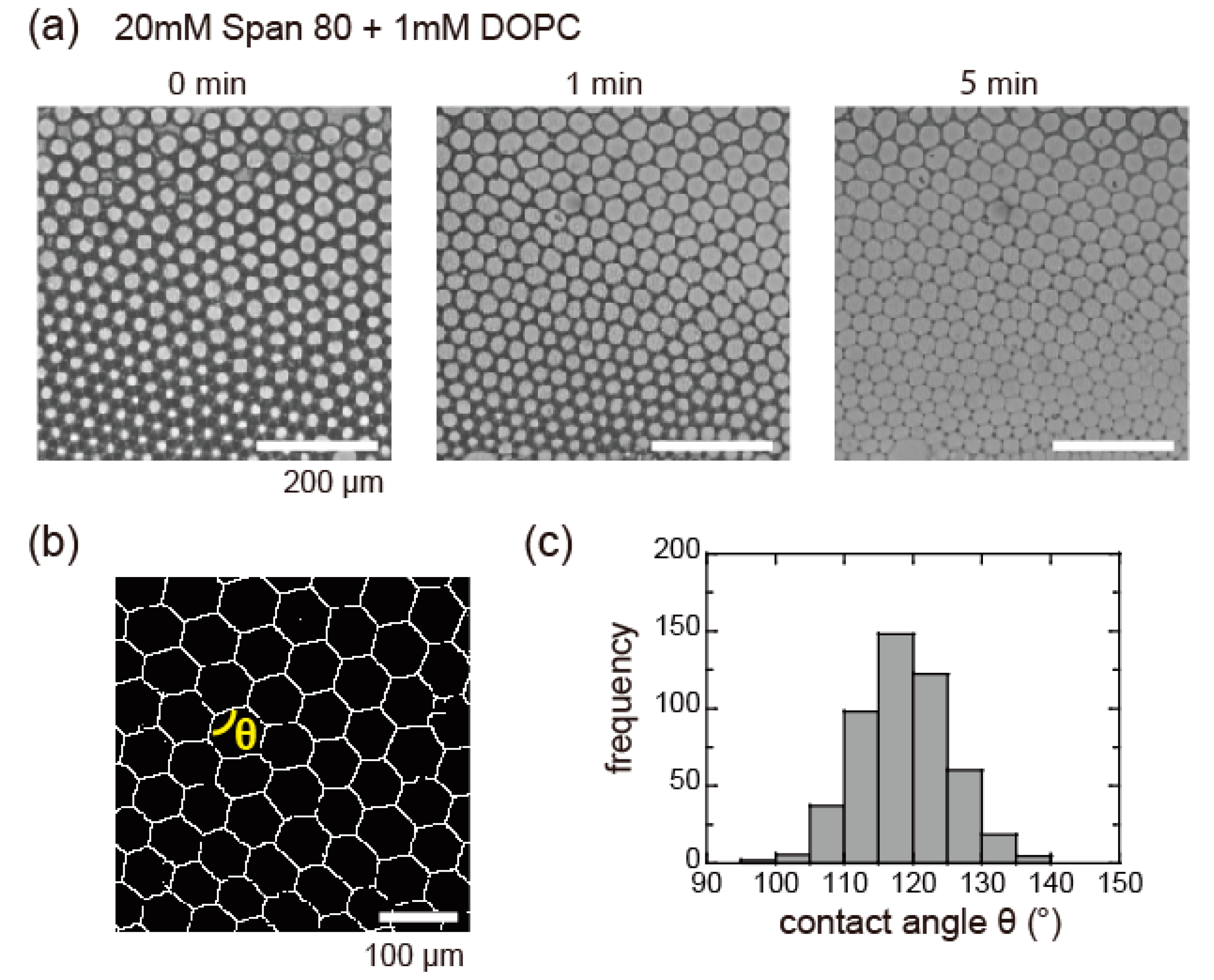 Micromachines 11 00701 g005