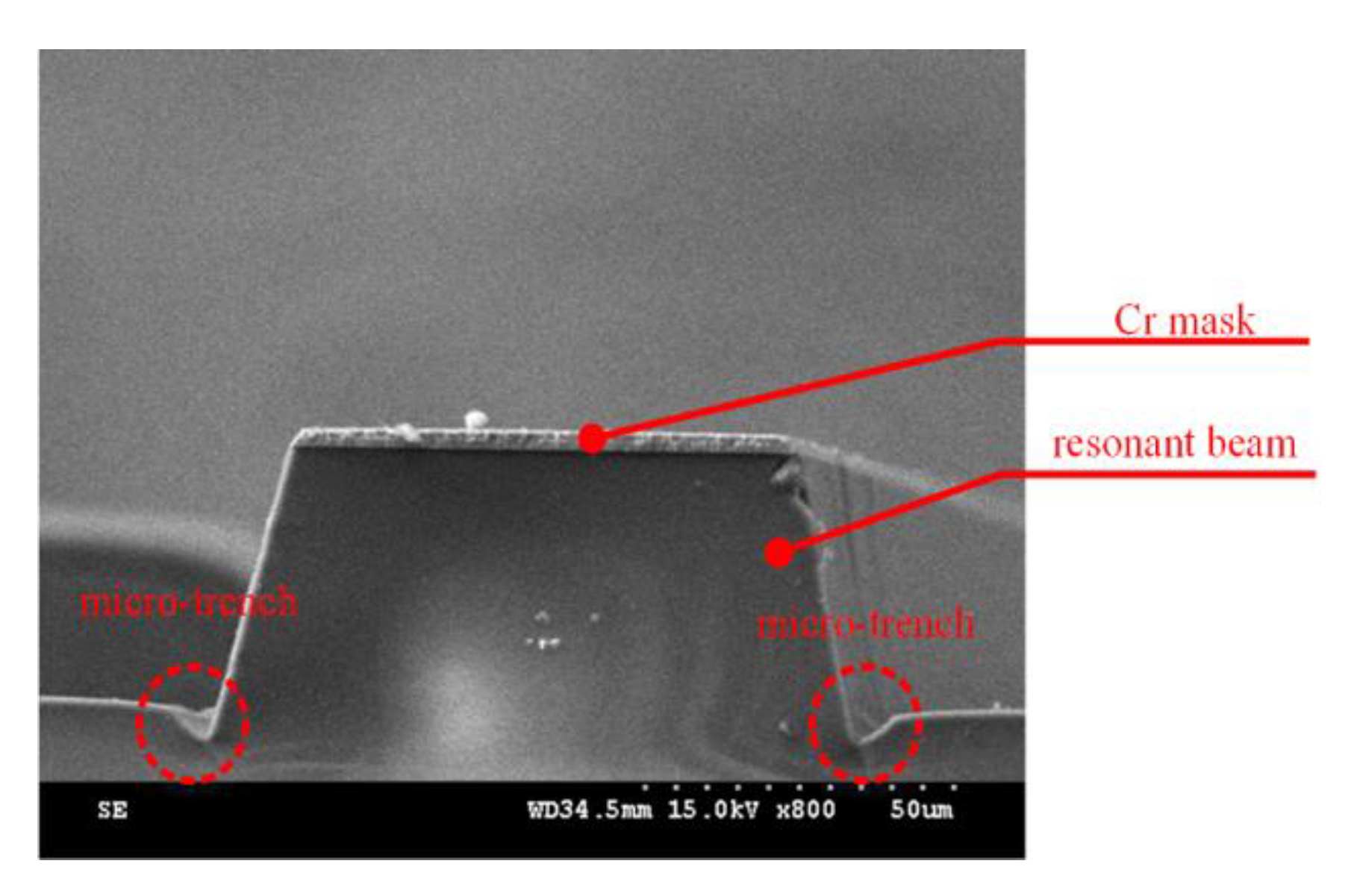 Micromachines 11 00724 g004