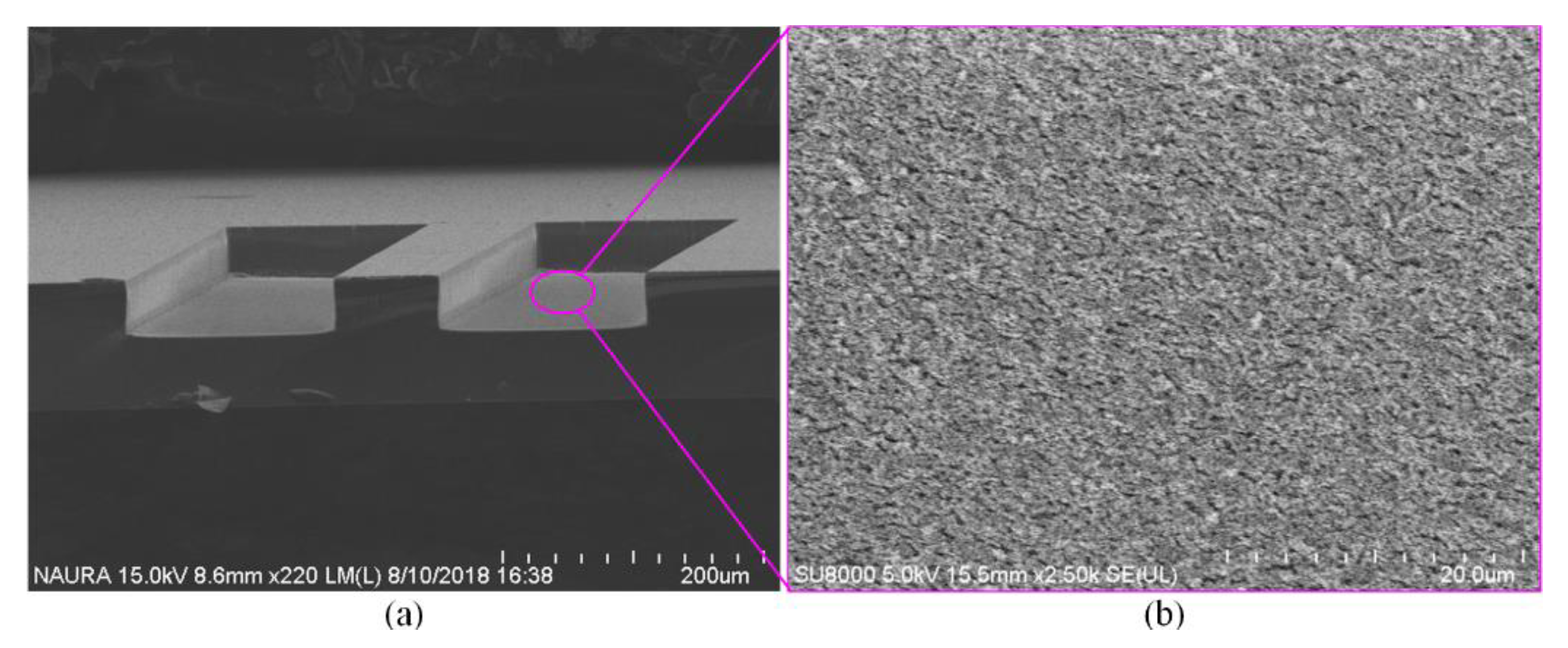 Micromachines 11 00724 g018