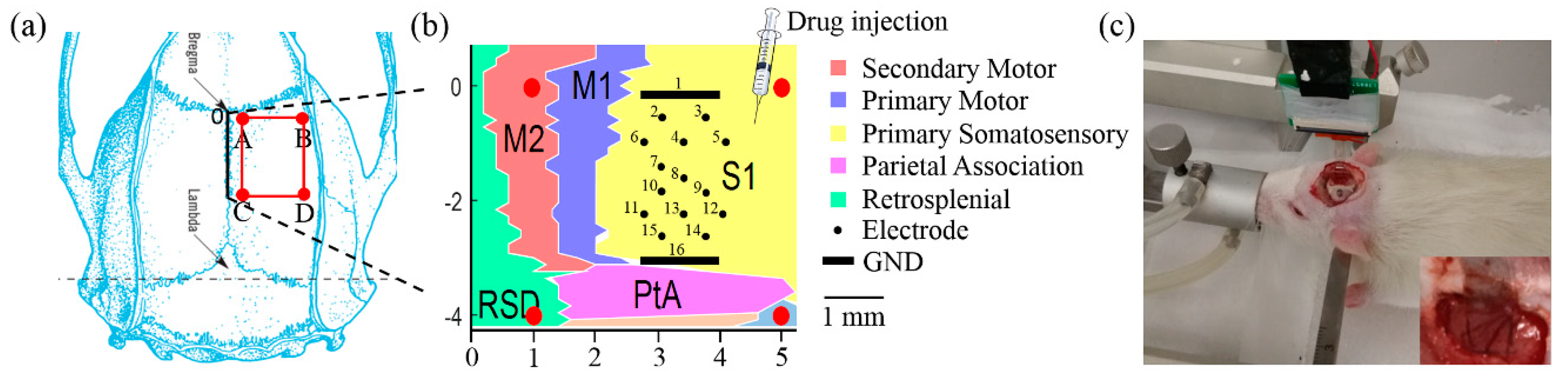 Micromachines 11 00732 g002 Micromachines 11 00732 g002