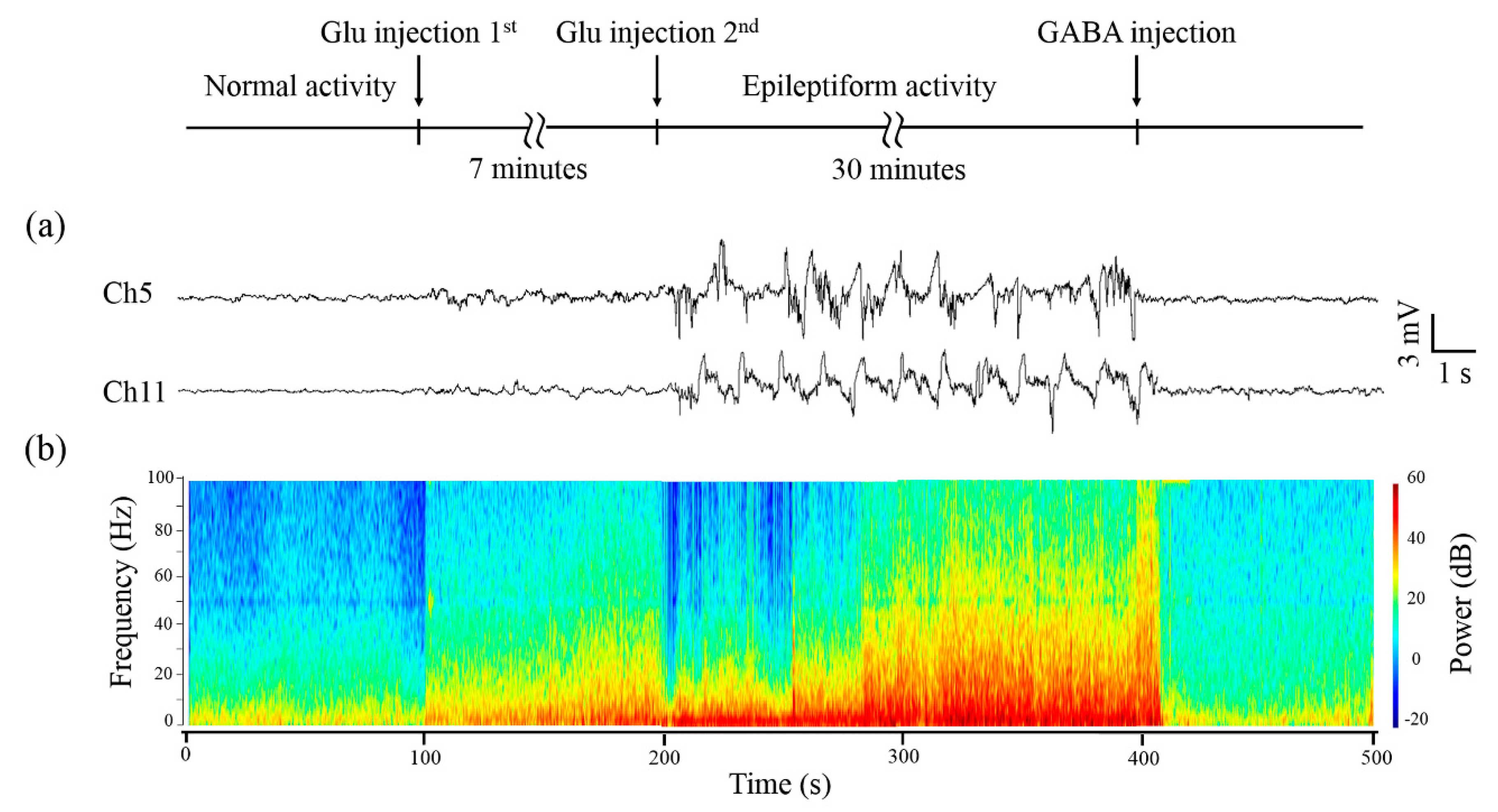 Micromachines 11 00732 g005 Micromachines 11 00732 g005