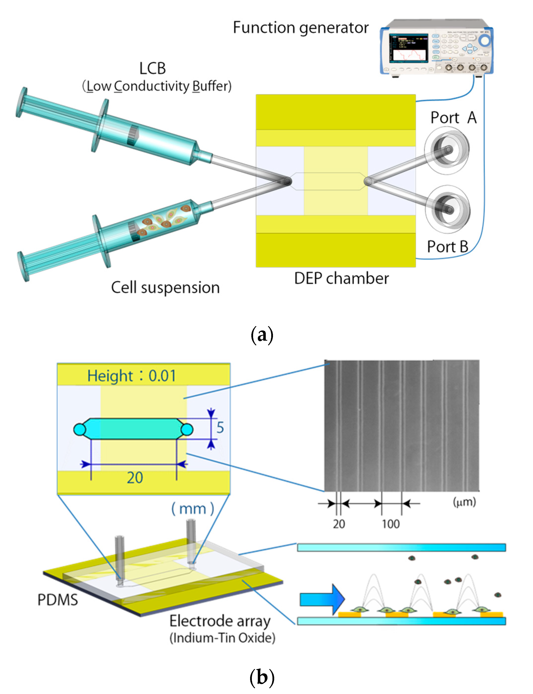 Micromachines 11 00734 g002