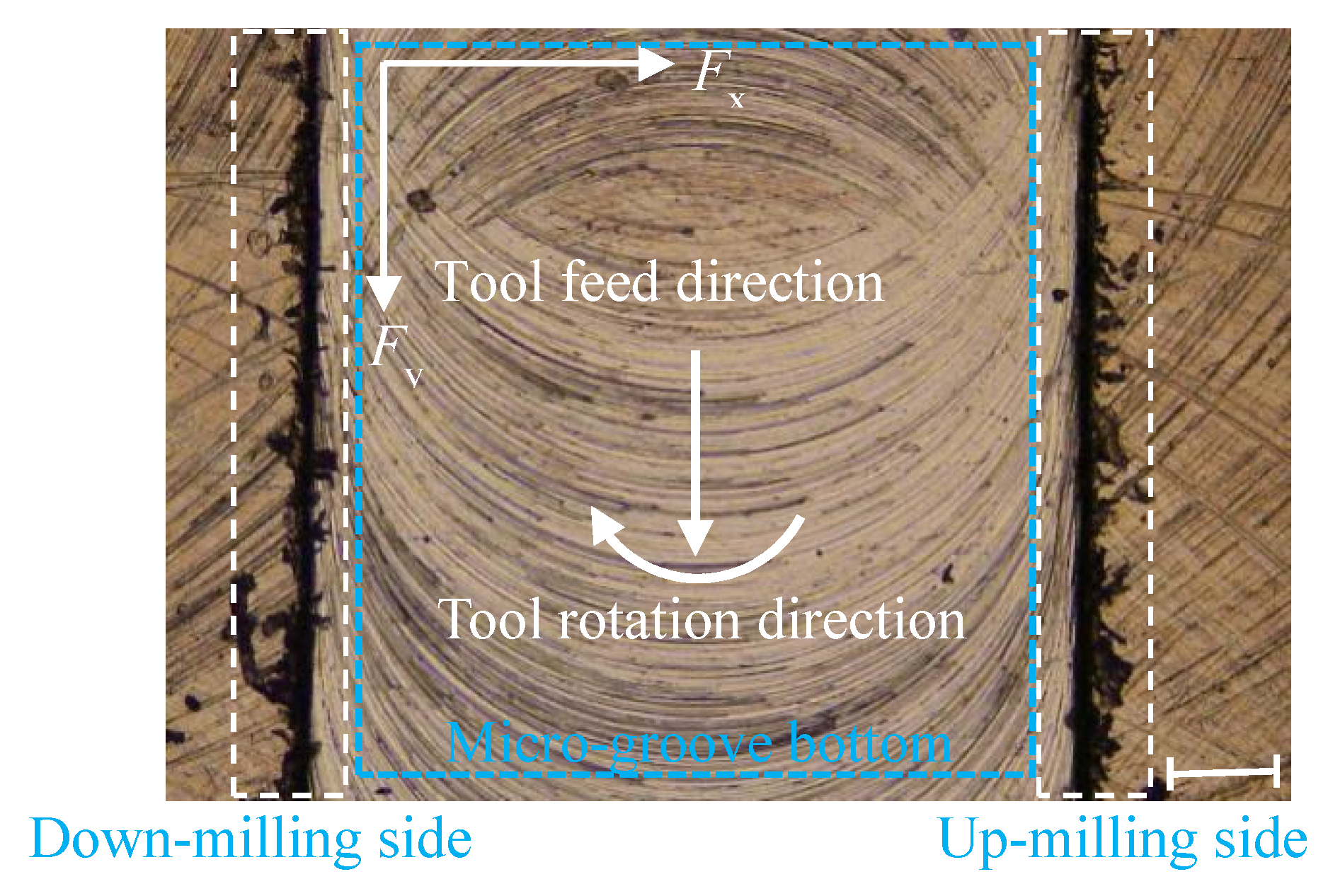 Micromachines 11 00766 g015