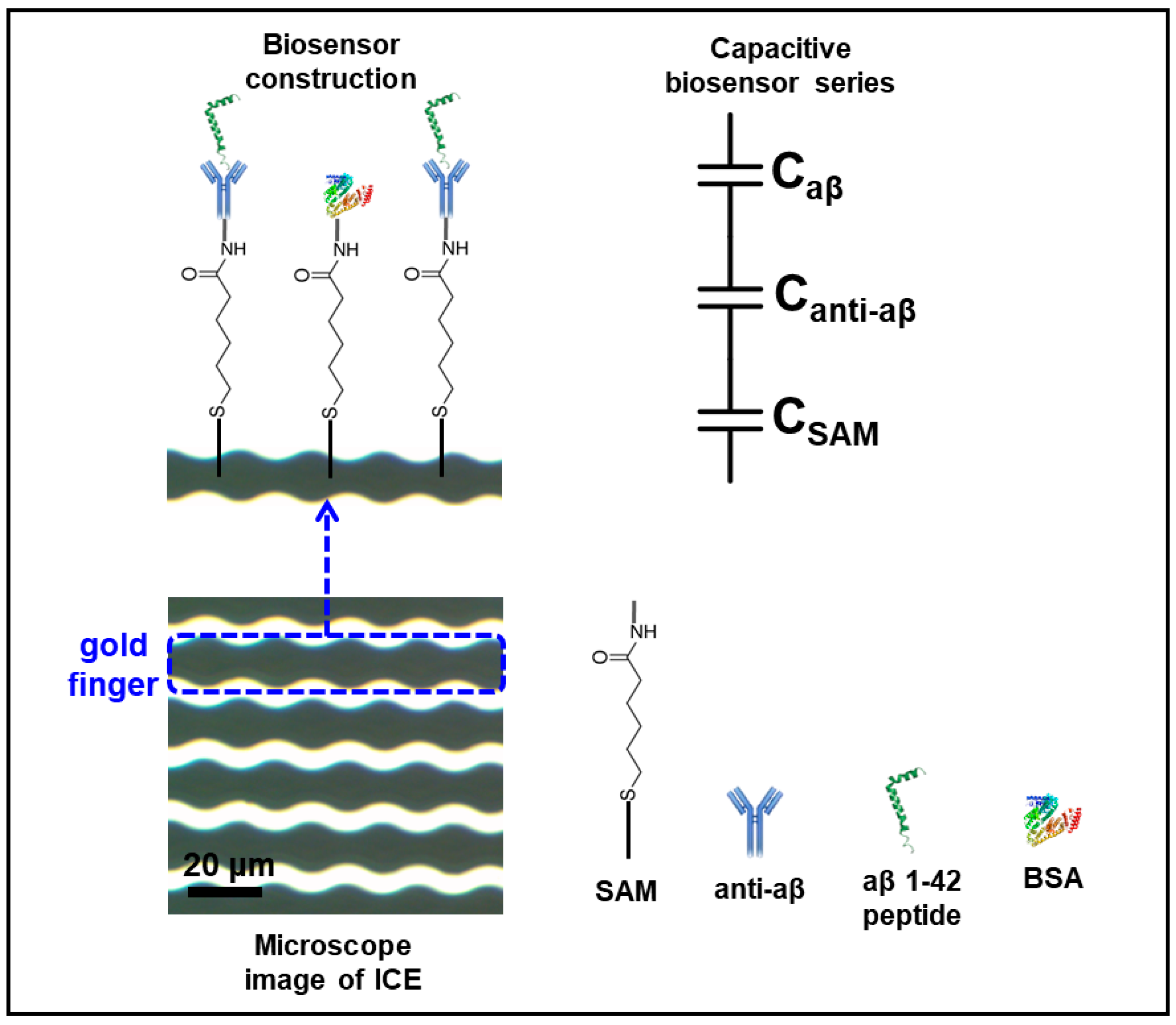 Micromachines 11 00791 g001 Micromachines 11 00791 g001