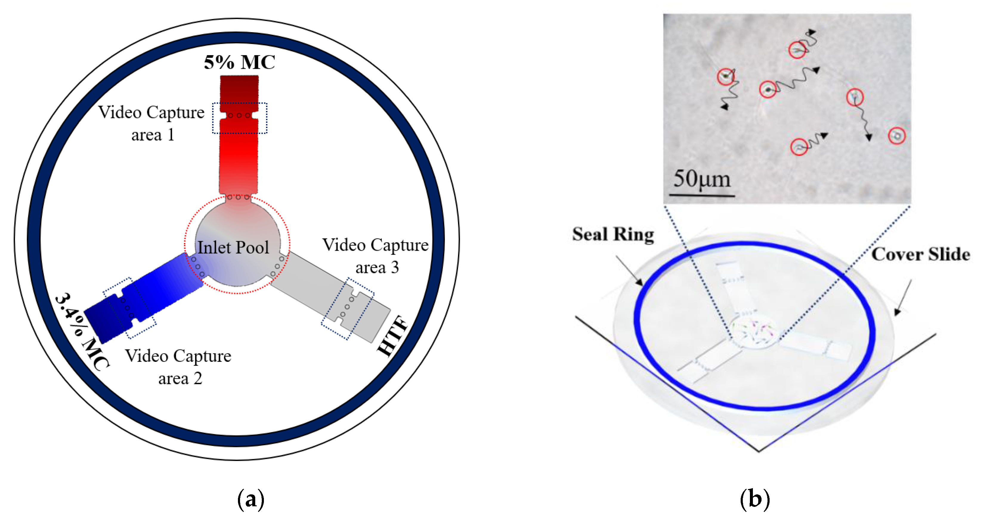 Micromachines Free Full Text A Pmma Based Microfluidic Device For Human Sperm Evaluation And Screening On Swimming Capability And Swimming Persistence