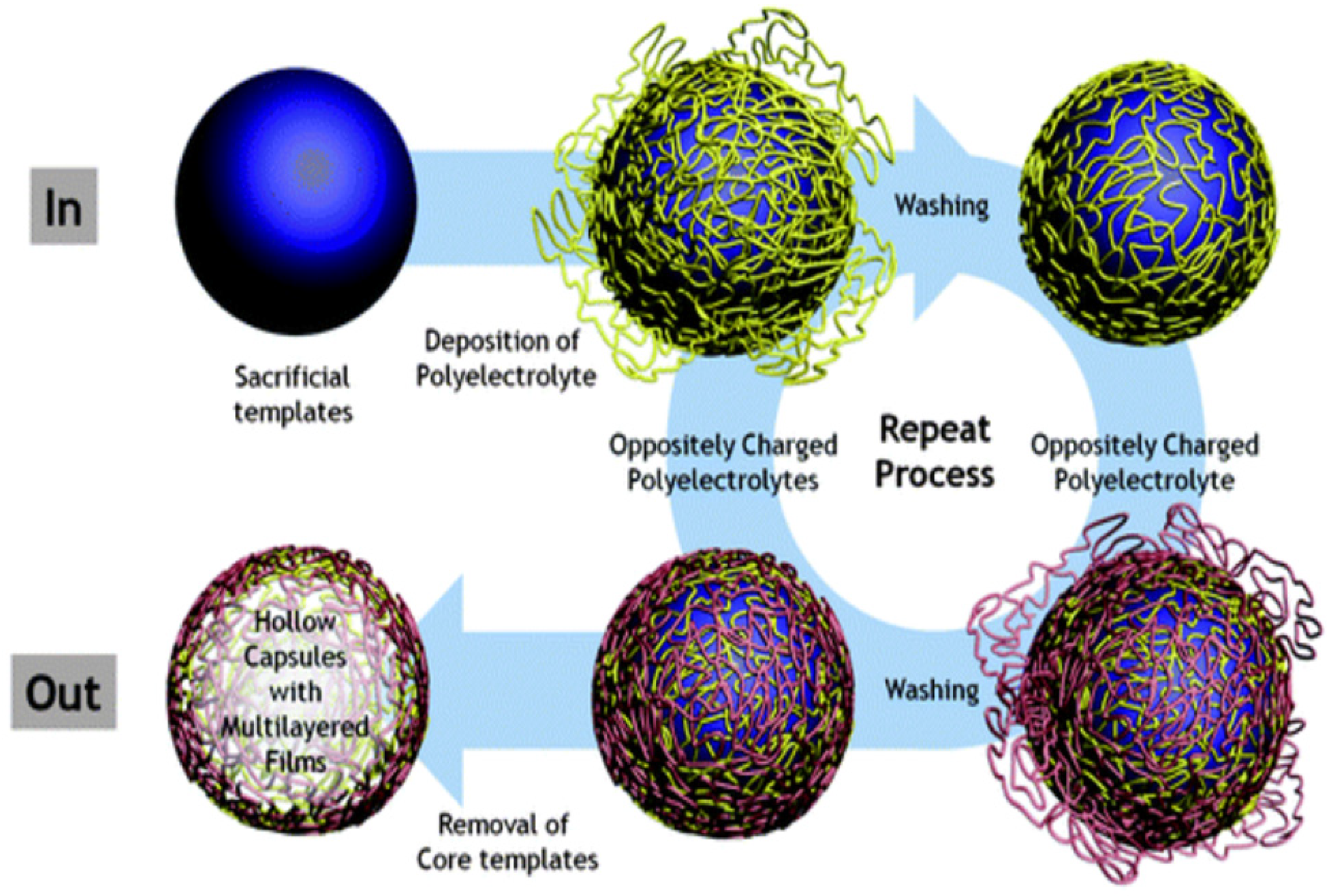 Micromachines 11 00797 g002