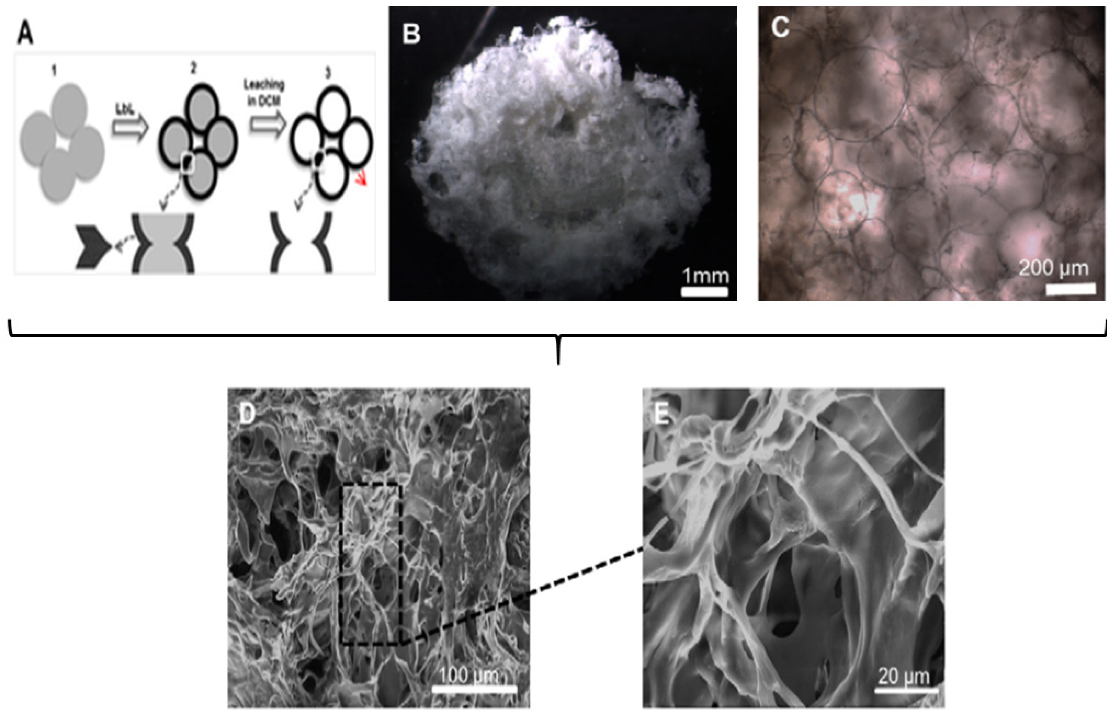 Micromachines 11 00797 g012