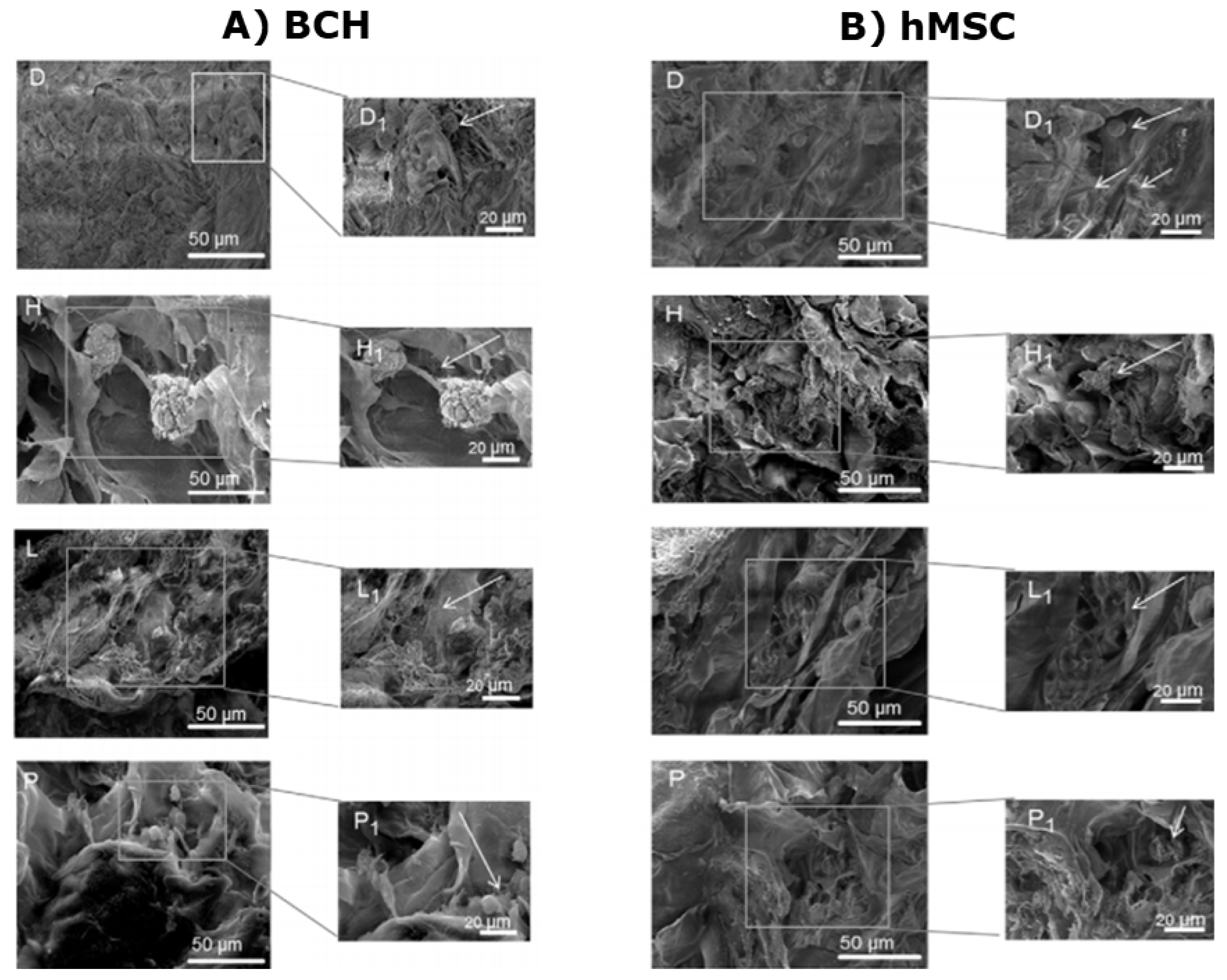 Micromachines 11 00797 g013