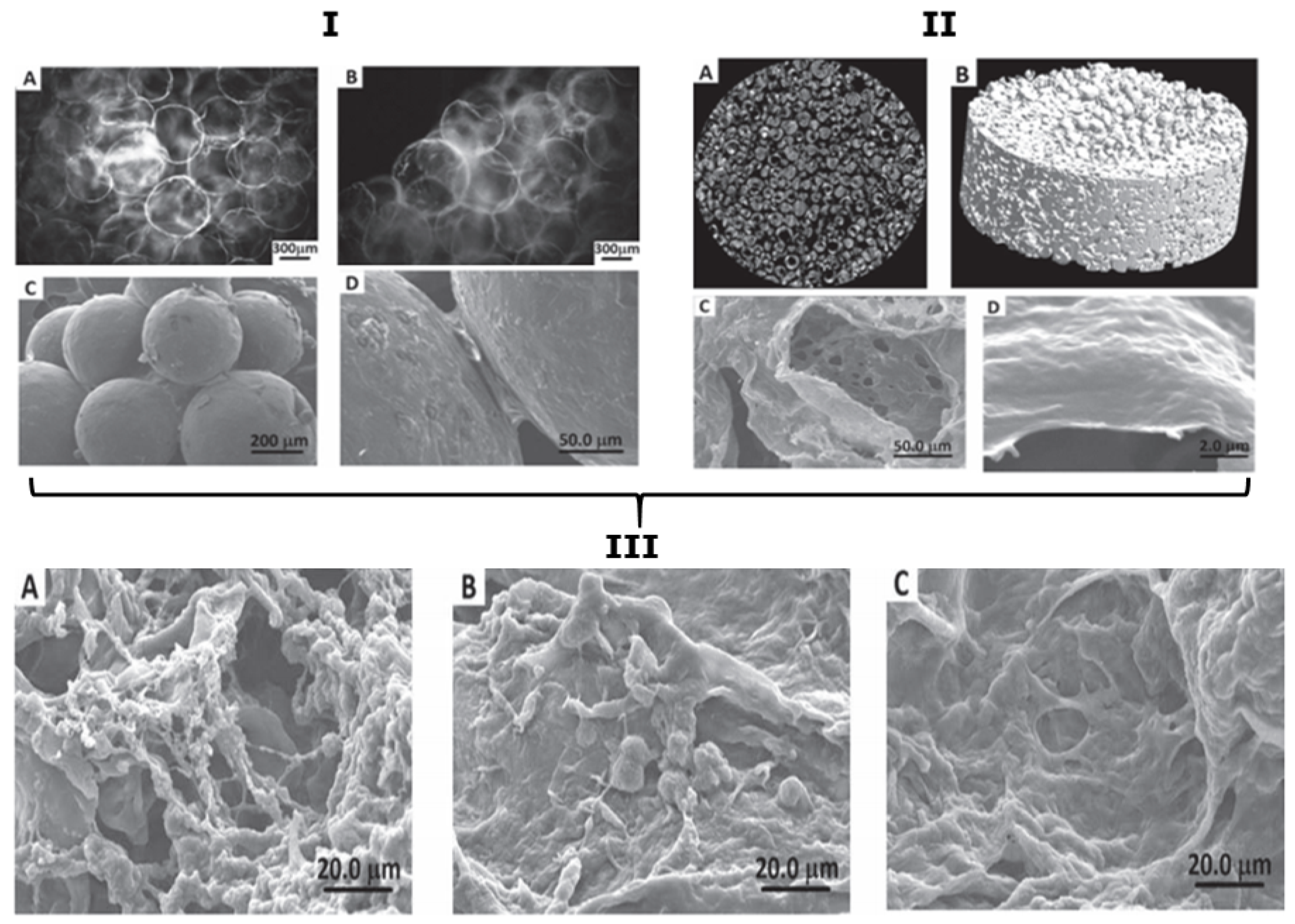 Micromachines 11 00797 g014