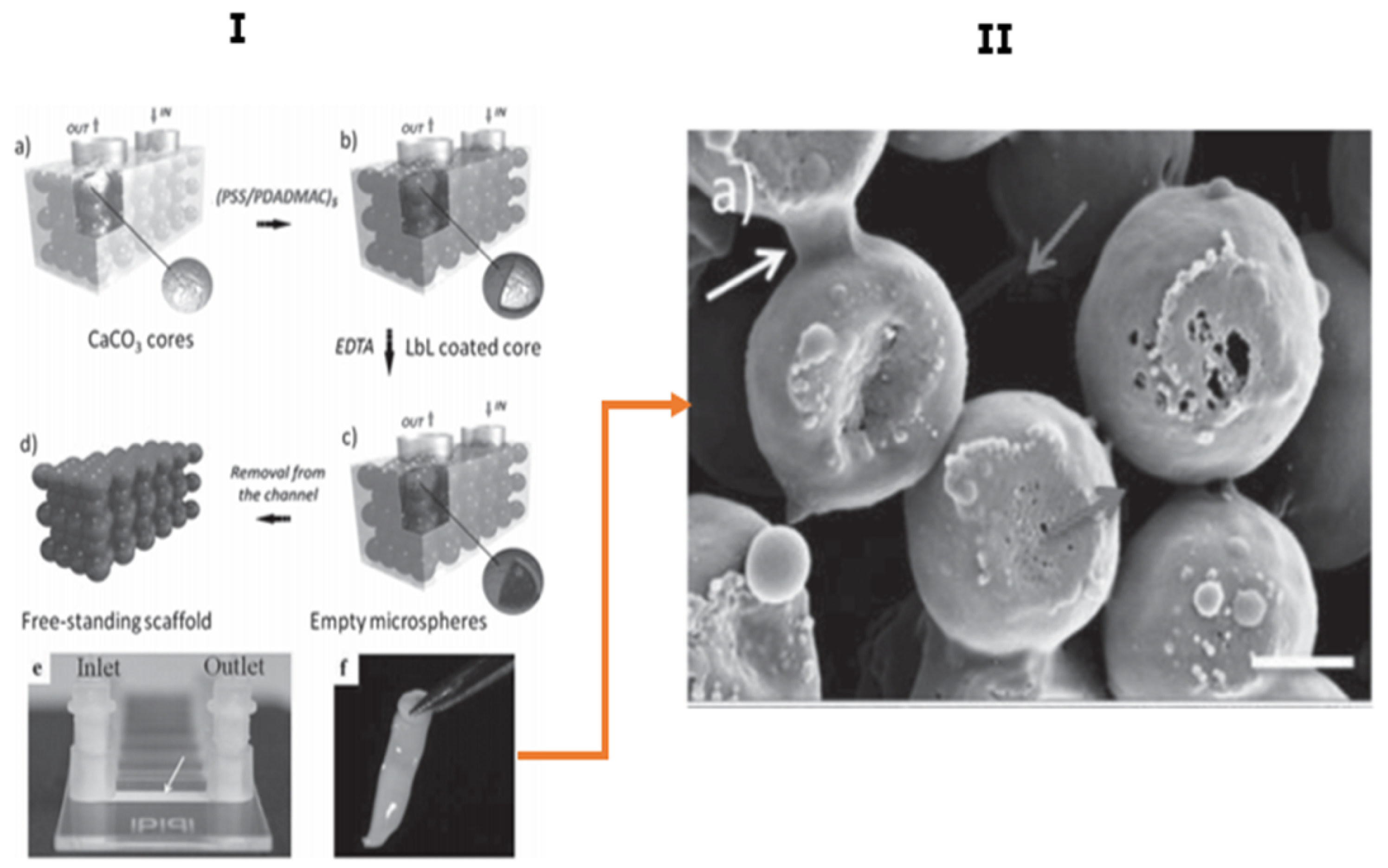 Micromachines 11 00797 g015