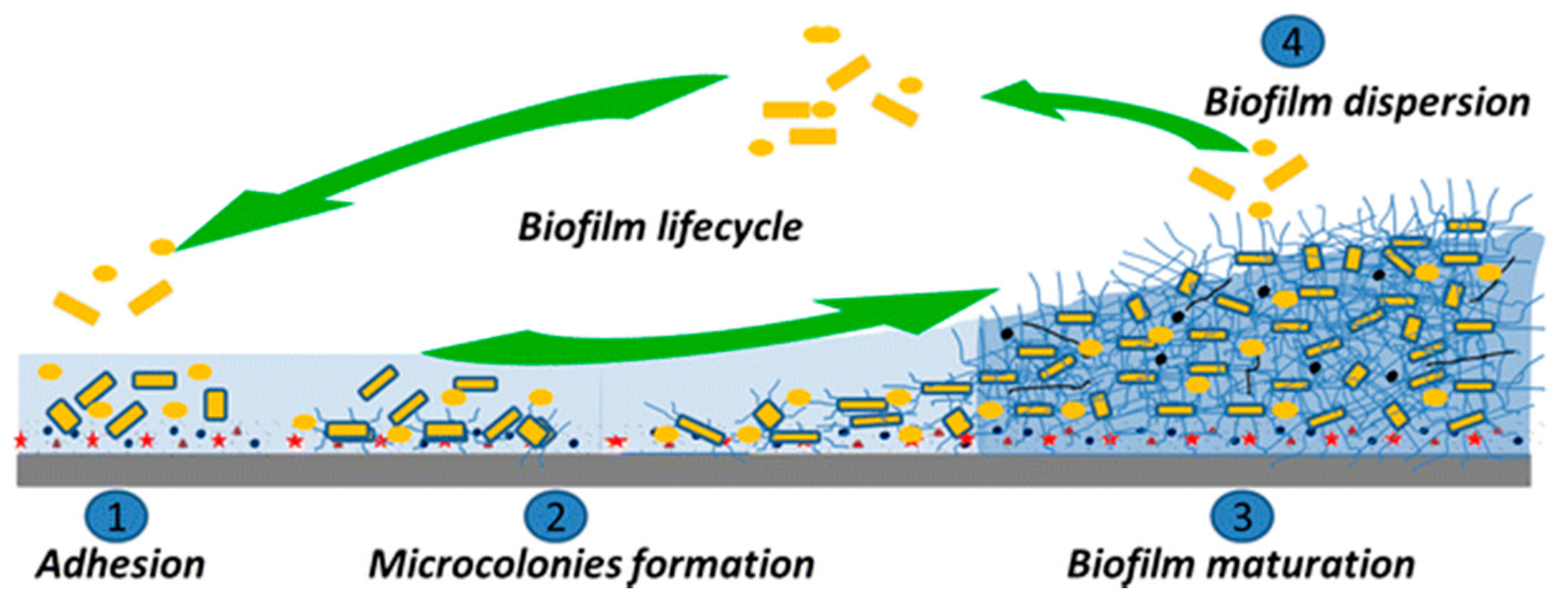 Micromachines 11 00835 g003