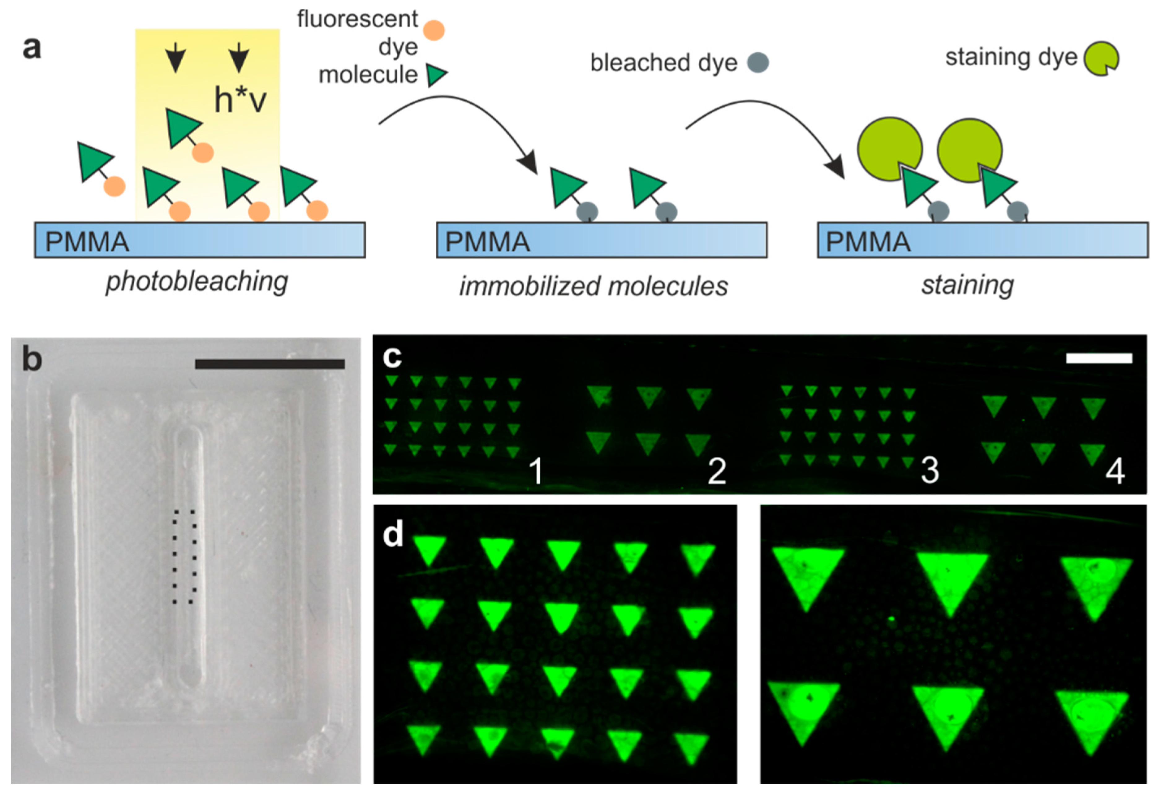 Micromachines 11 00873 g006