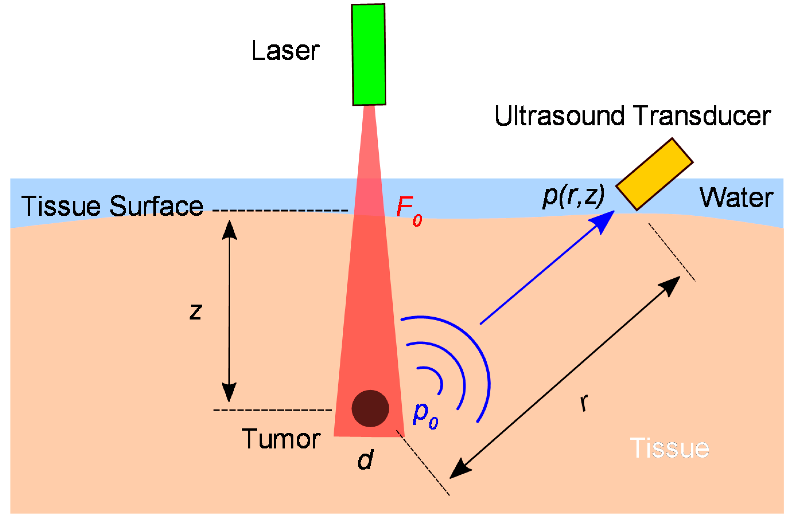 Micromachines | Free Full-Text | MEMS Ultrasound Transducers for Endoscopic  Photoacoustic Imaging Applications