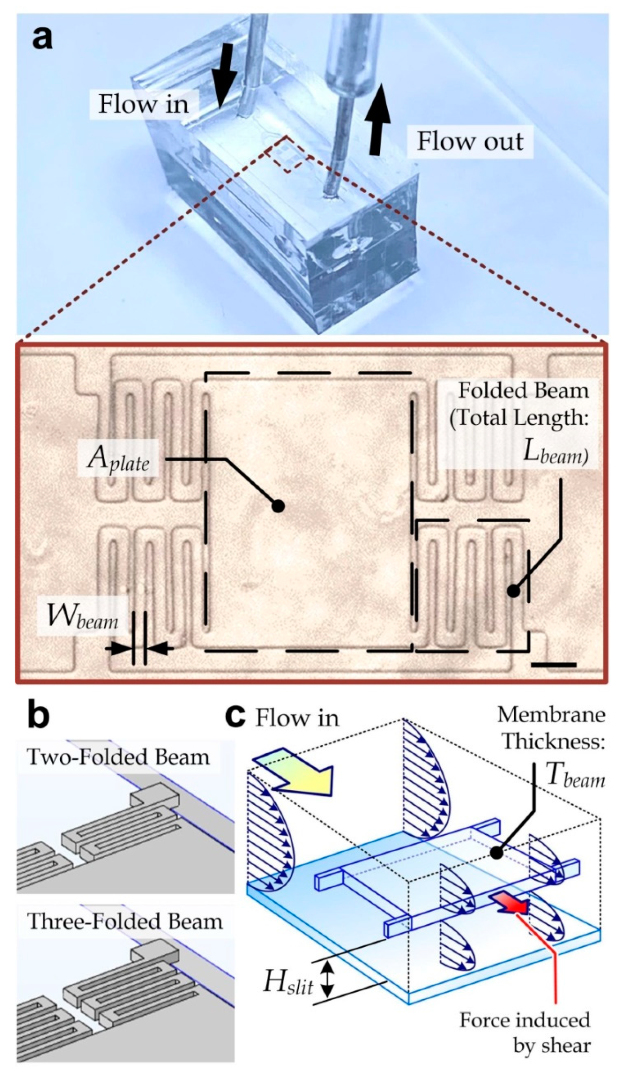 Micromachines 11 00934 g001 Micromachines 11 00934 g001