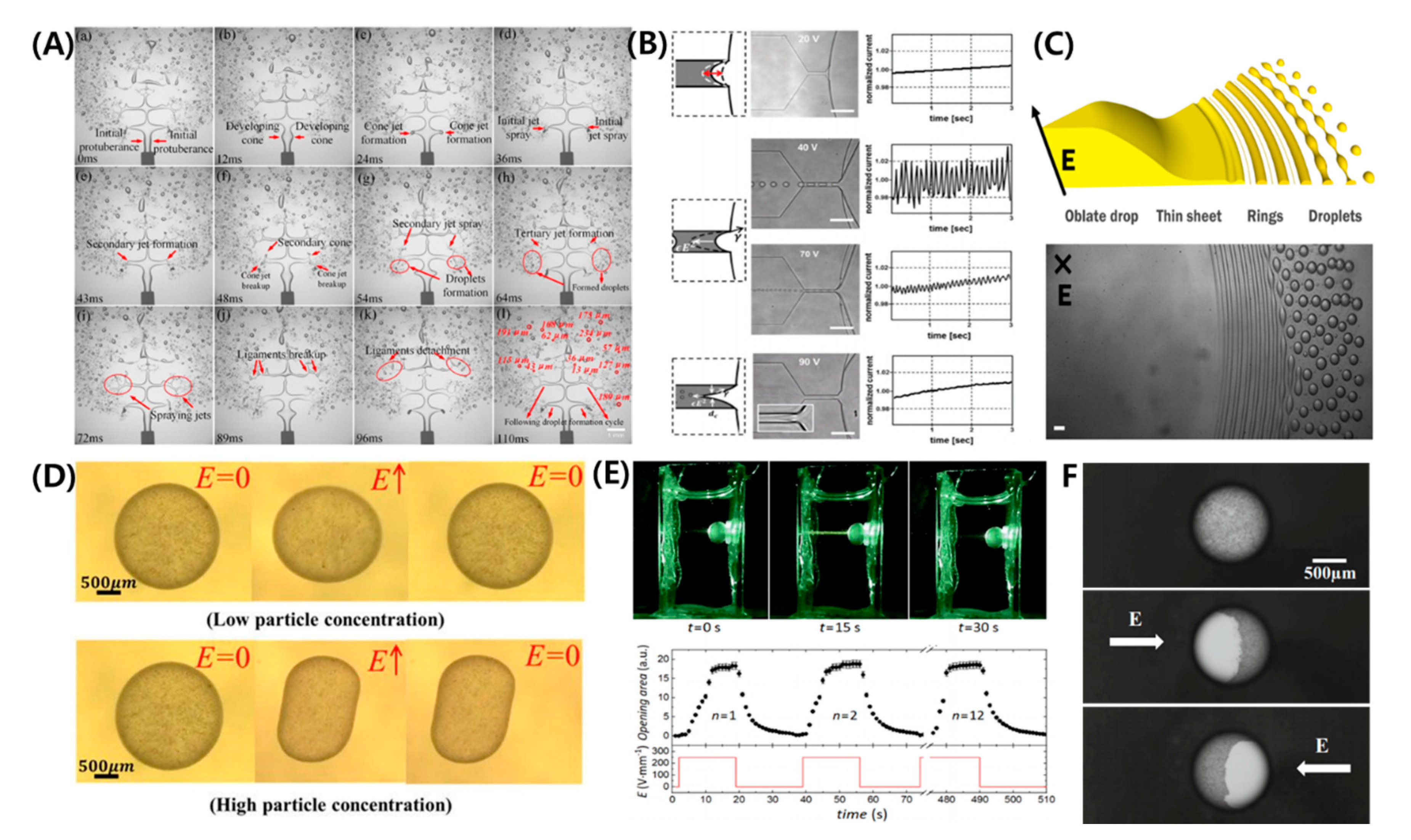 Micromachines 11 00942 g010 Micromachines 11 00942 g010