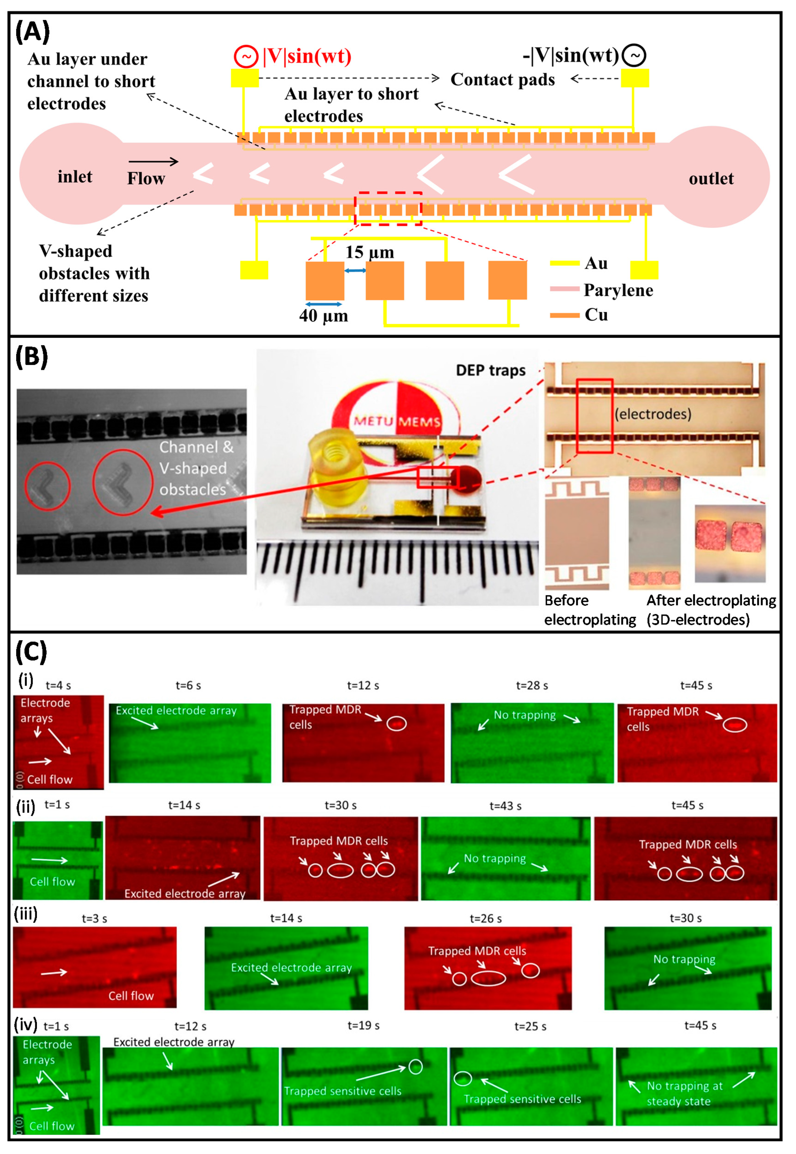 Micromachines Free Full Text A Prominent Cell Manipulation Technique In Biomems Dielectrophoresis Html