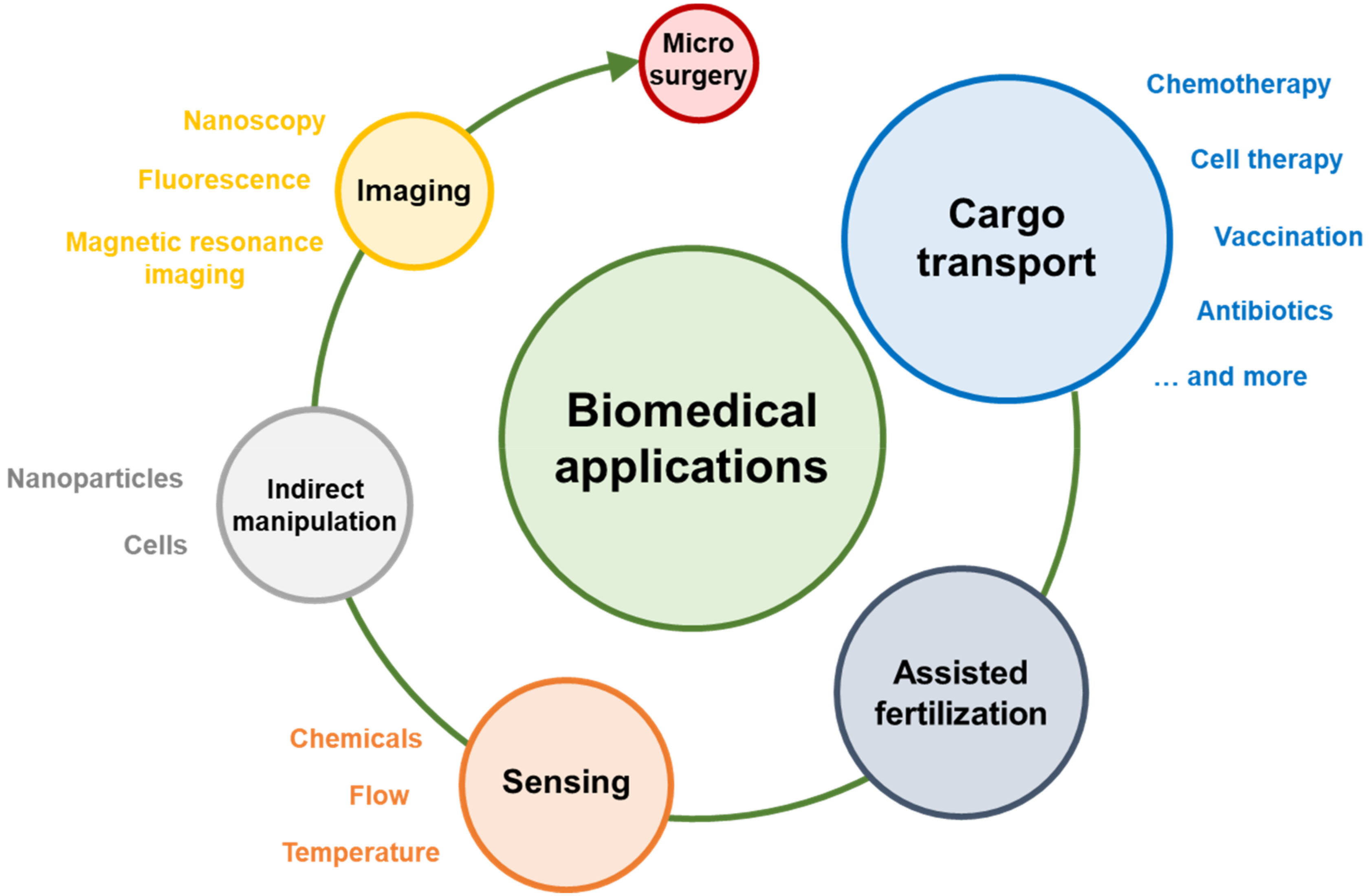 Biomedical application. Бизнес-инкубатор Massachusetts Biomedical initiatives. Magnetococcus. Current Nanomedicine applications.