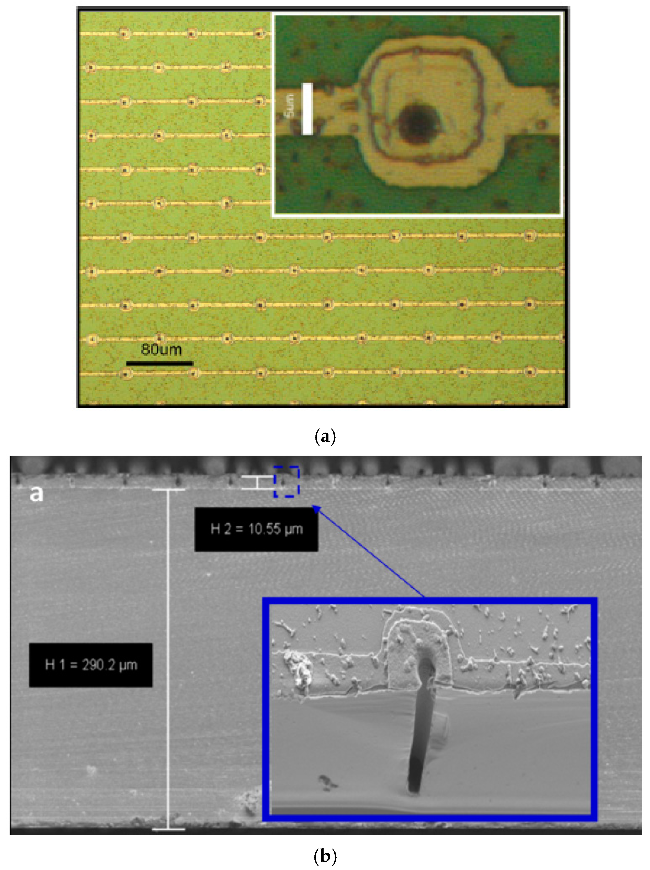 Micromachines 11 01053 g003