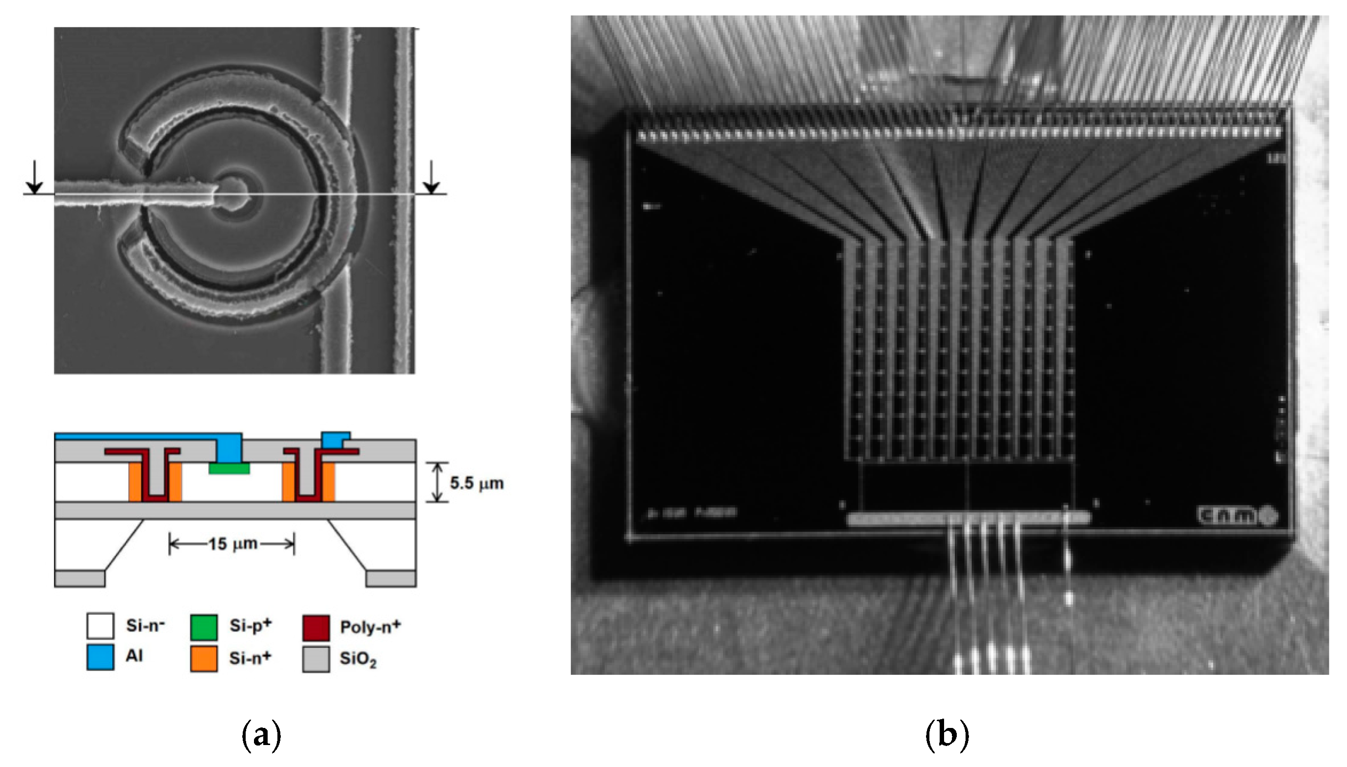 Micromachines 11 01053 g006