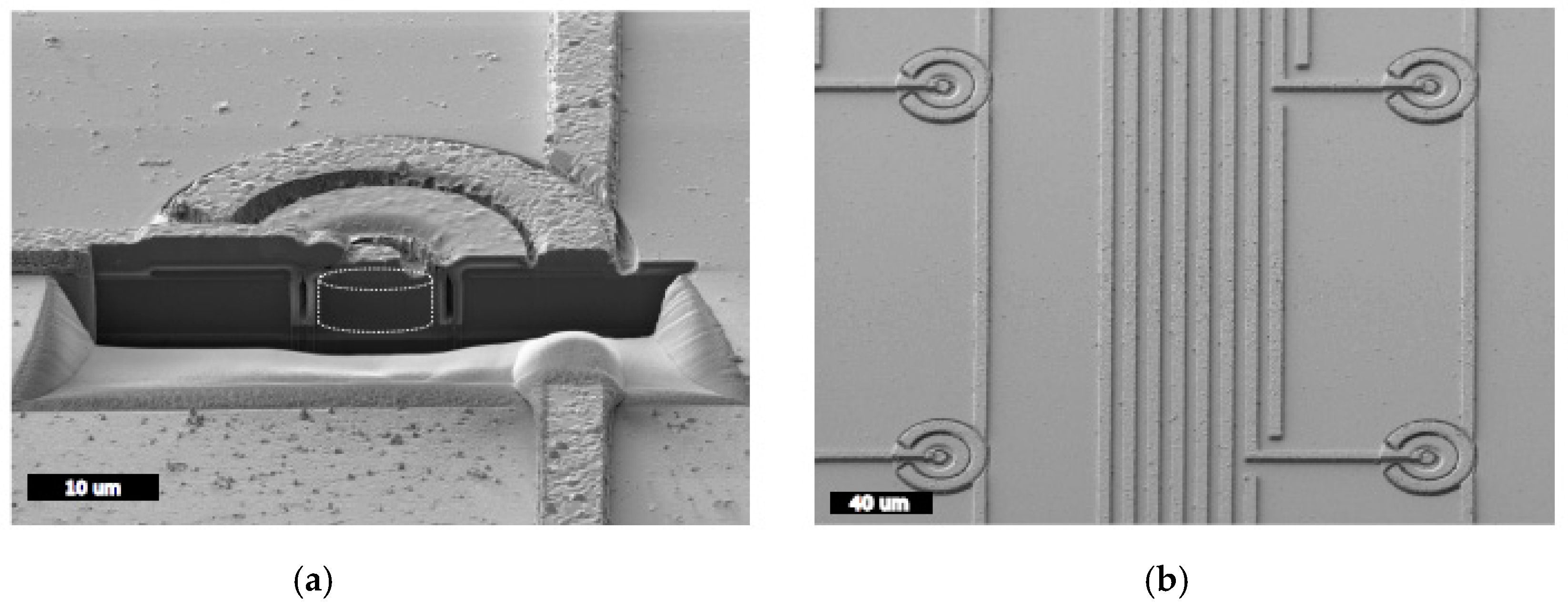 Micromachines 11 01053 g007