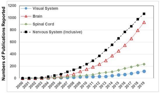 Macro- and microscale fluid flow systems for endothelial cell