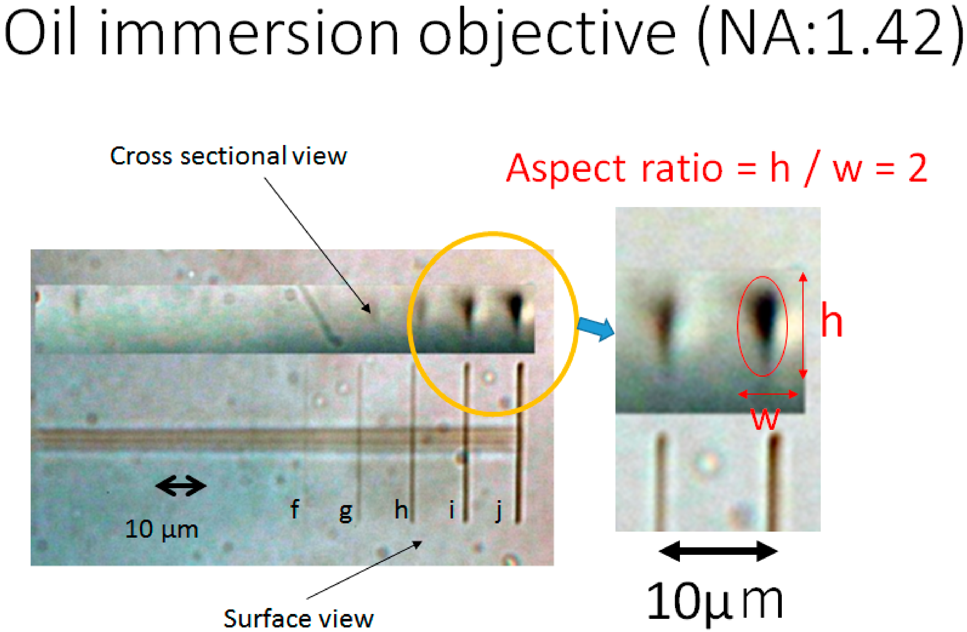Micromachines 11 01120 g003