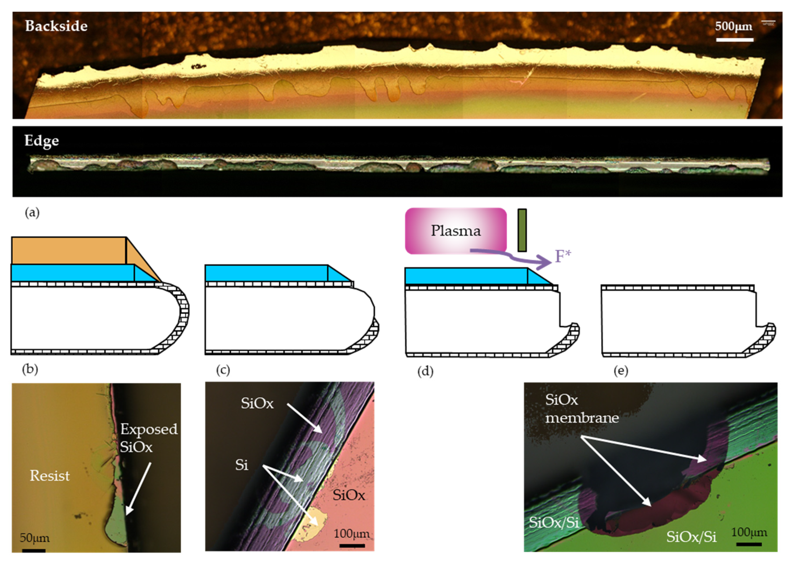 Micromachines 11 01126 g008