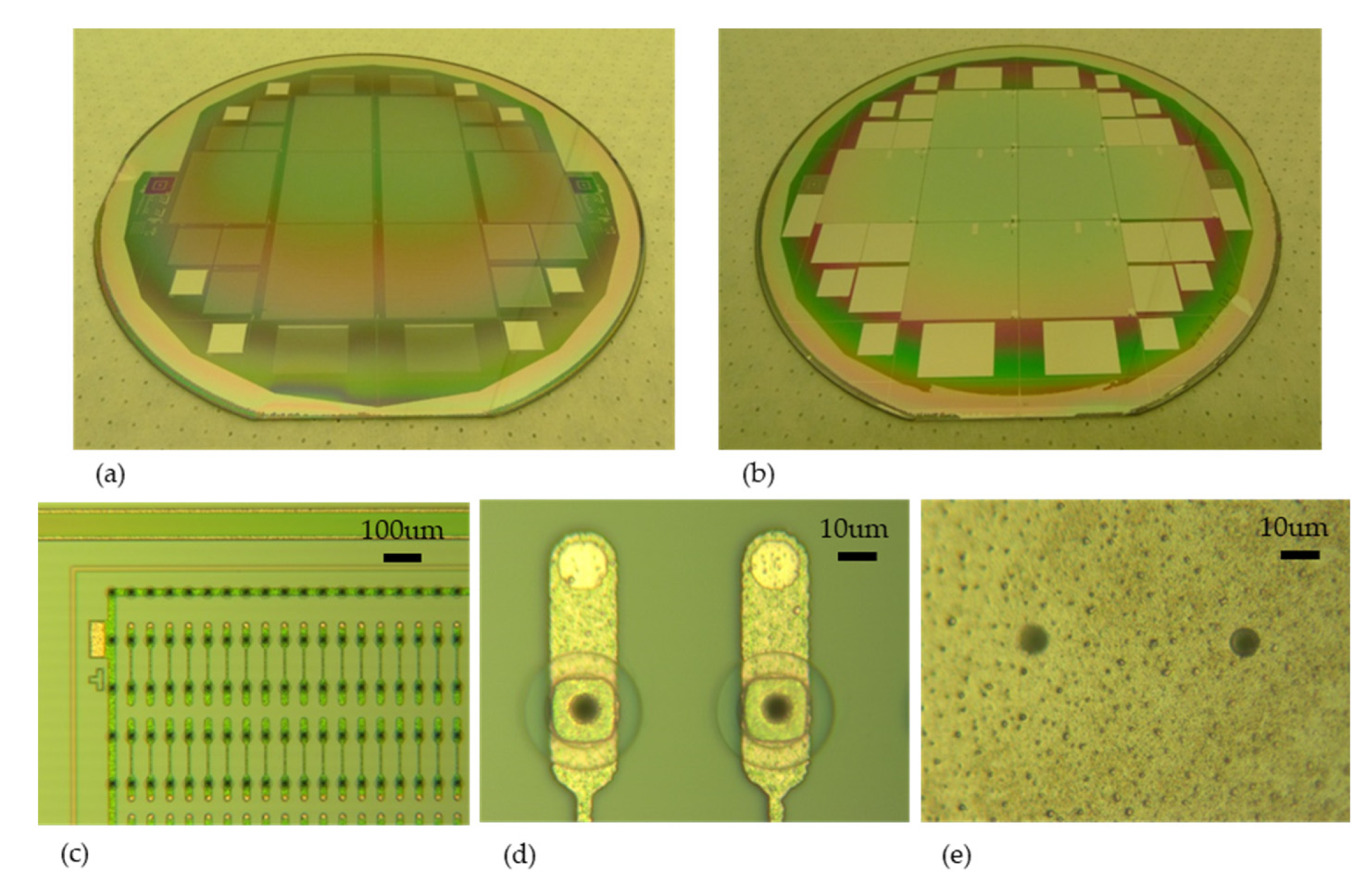 Micromachines 11 01126 g012