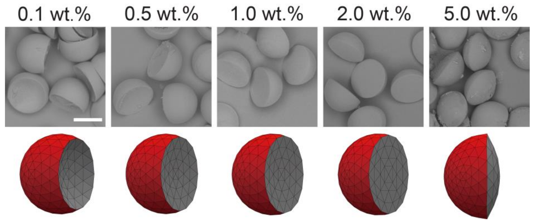 Micromachines 12 00029 g007