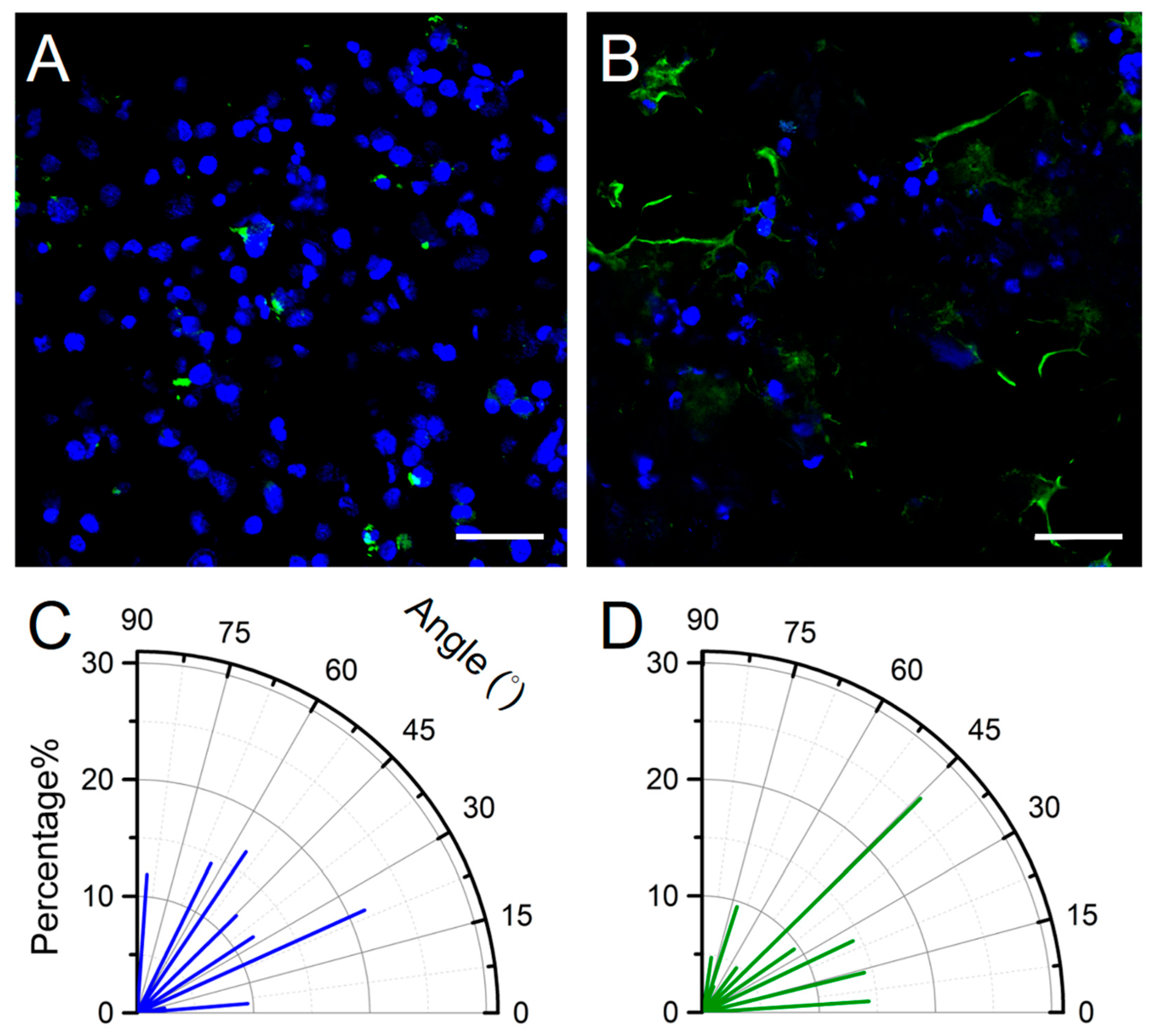 Micromachines 12 00037 g008