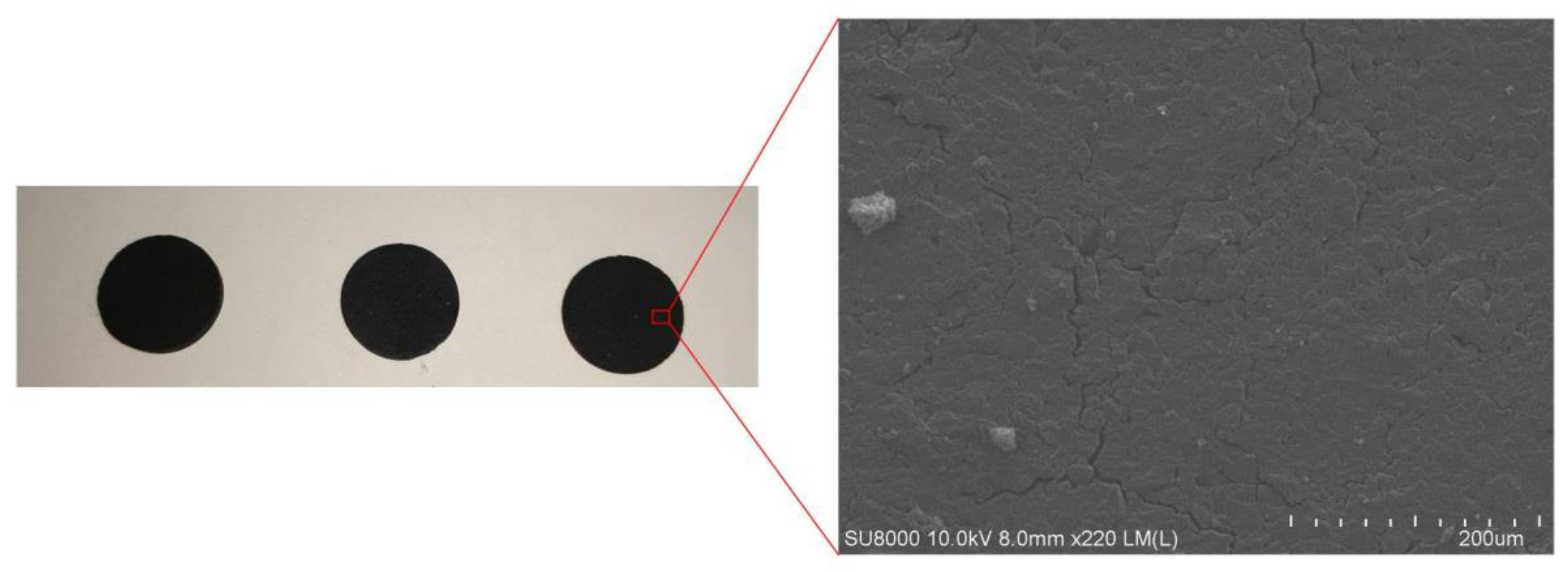 Micromachines 12 00063 g013