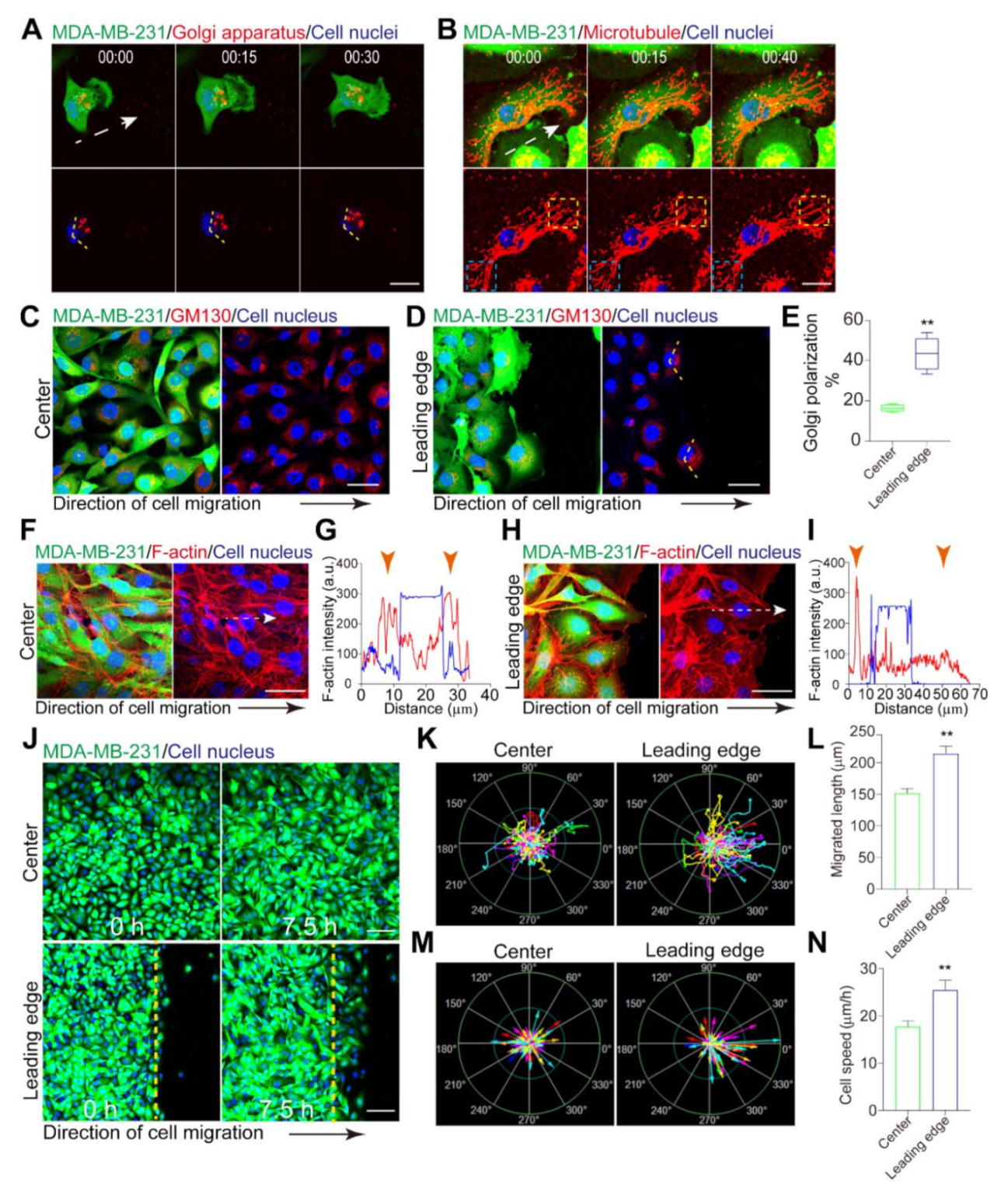 Micromachines 12 00112 g001