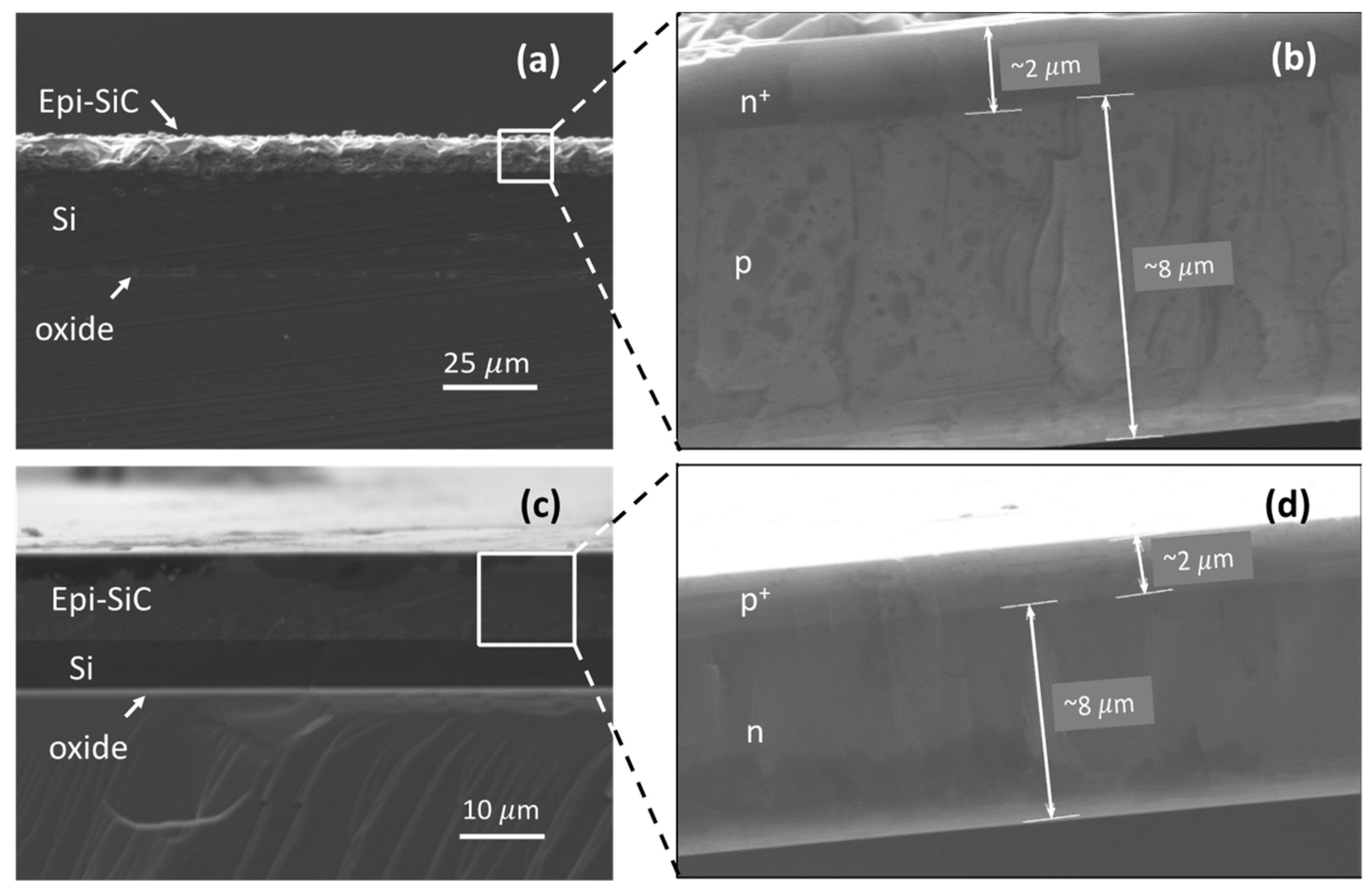 Micromachines 12 00126 g002