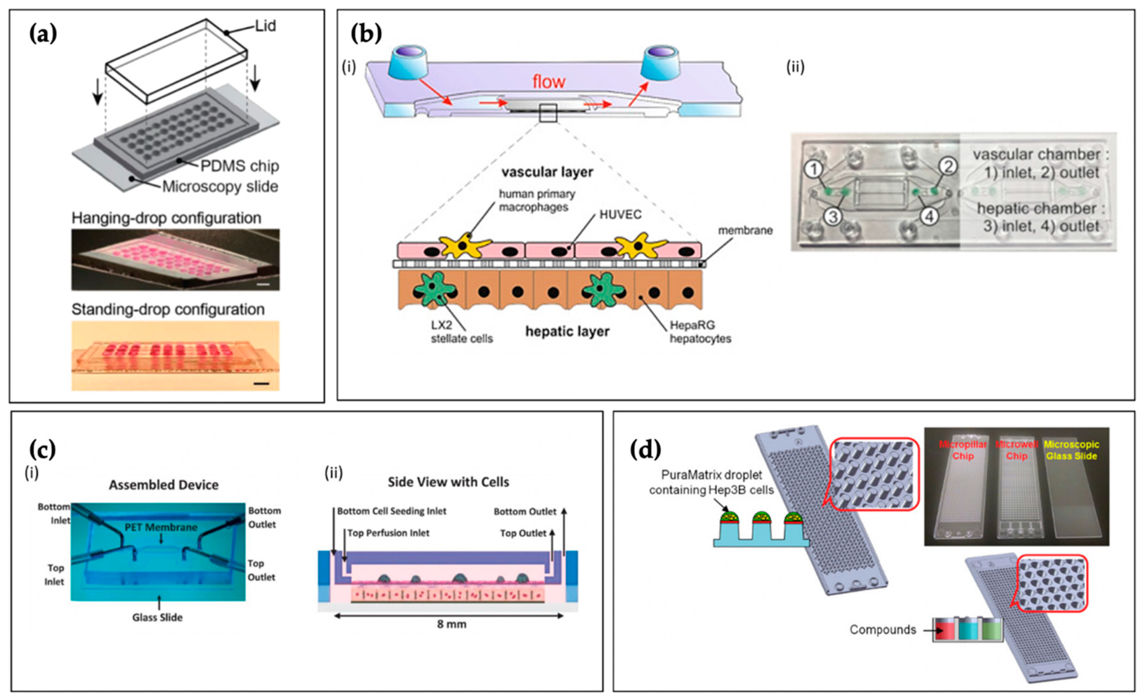Micromachines | Free Full-Text | Tissue Chips and Microphysiological  Systems for Disease Modeling and Drug Testing | HTML
