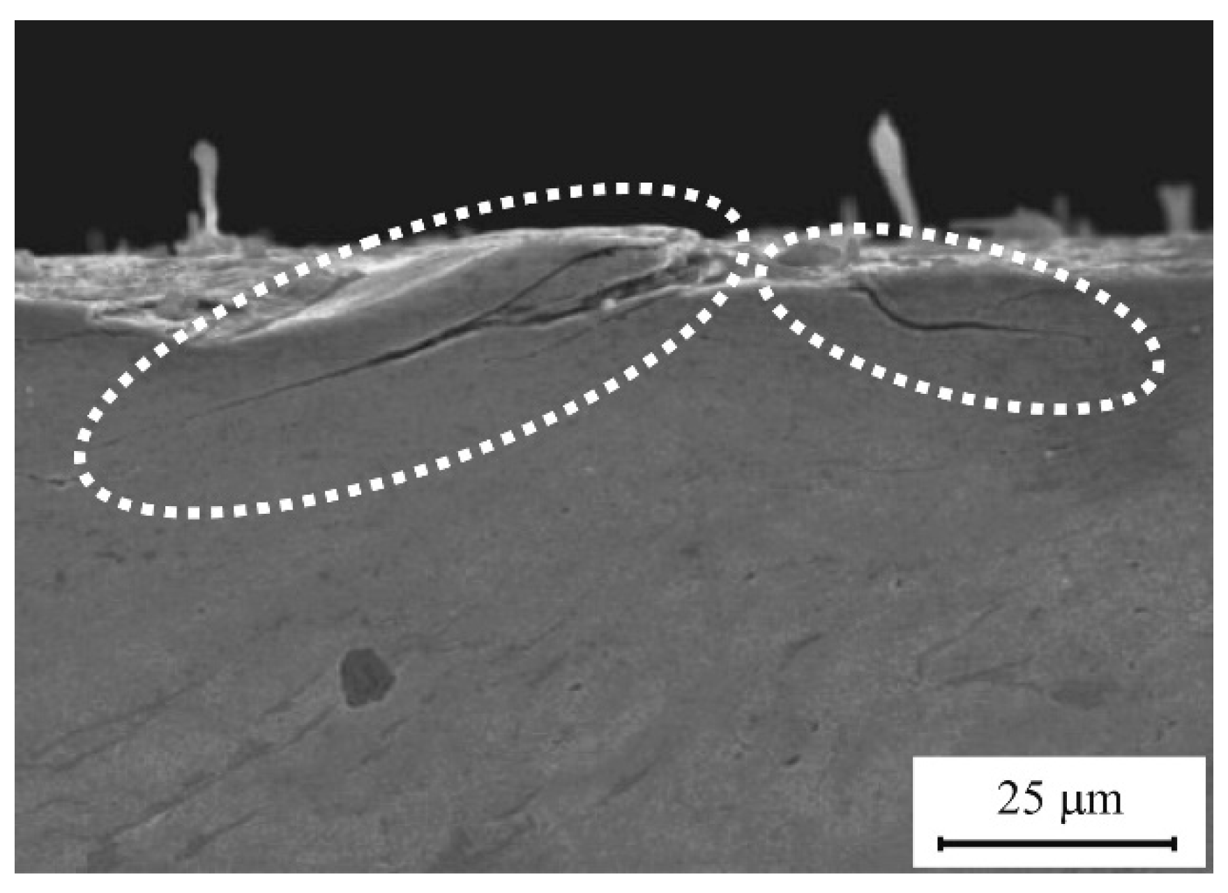 Micromachines 12 00152 g006