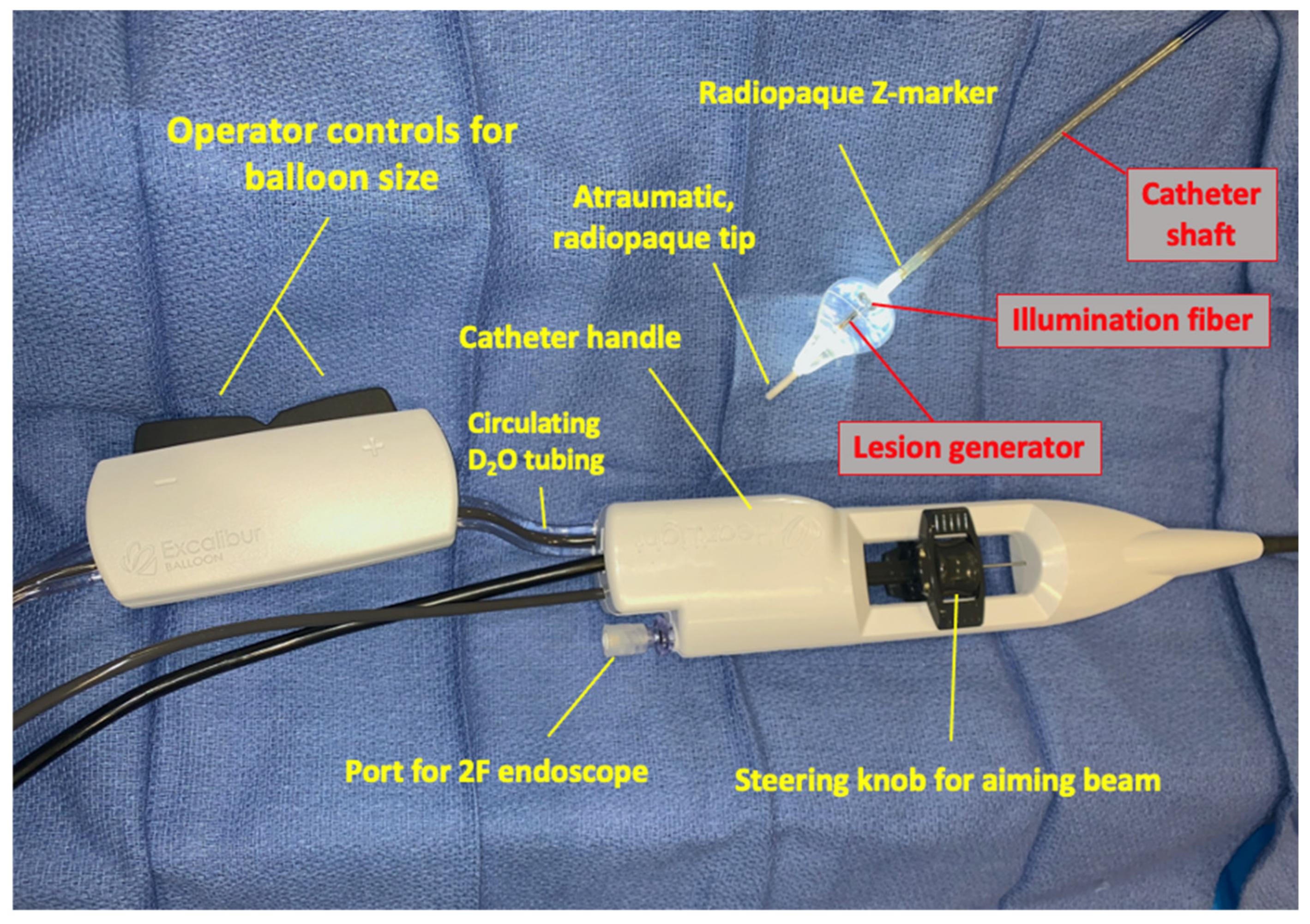 Micromachines | Free Full-Text | Clinical Applications of Laser Technology:  Laser Balloon Ablation in the Management of Atrial Fibrillation