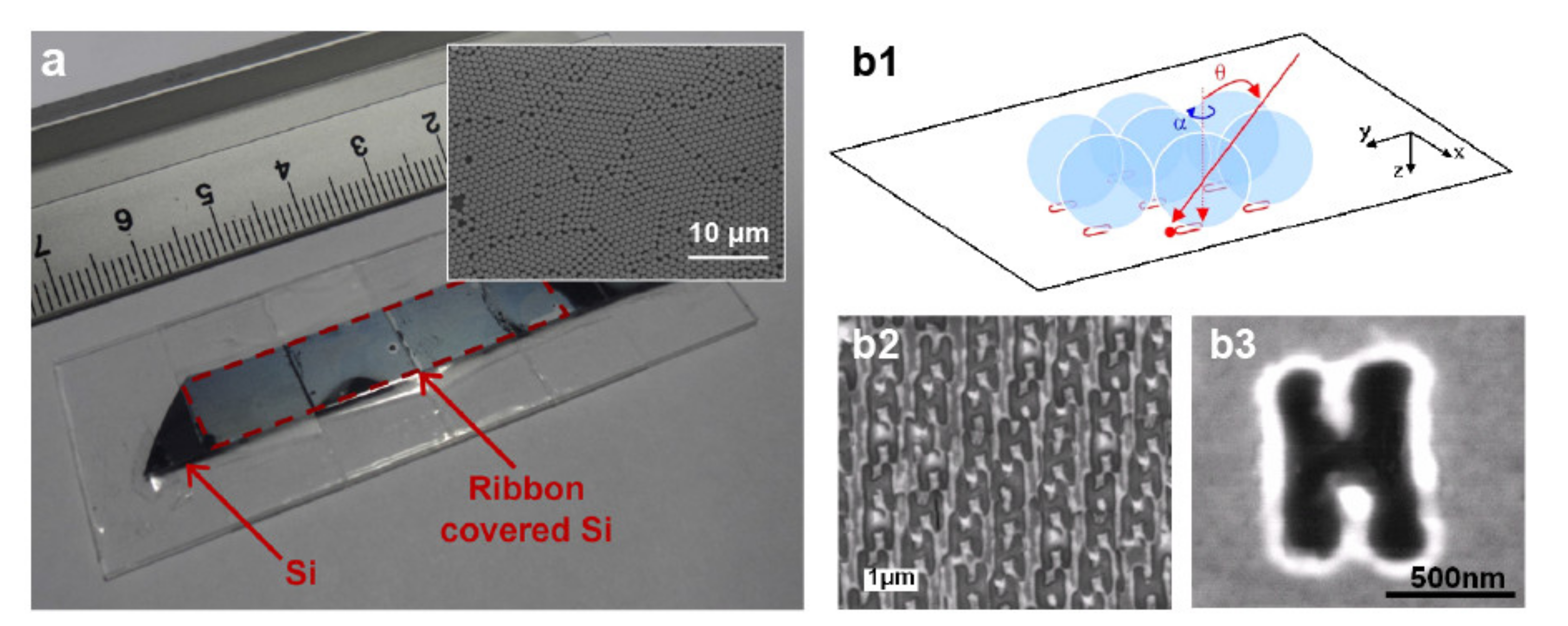 Micromachines 12 00256 g005