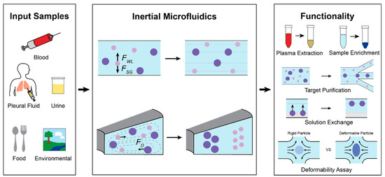 Micromachines | Free Full-Text | Inertial Microfluidics Enabling Clinical  Research | HTML