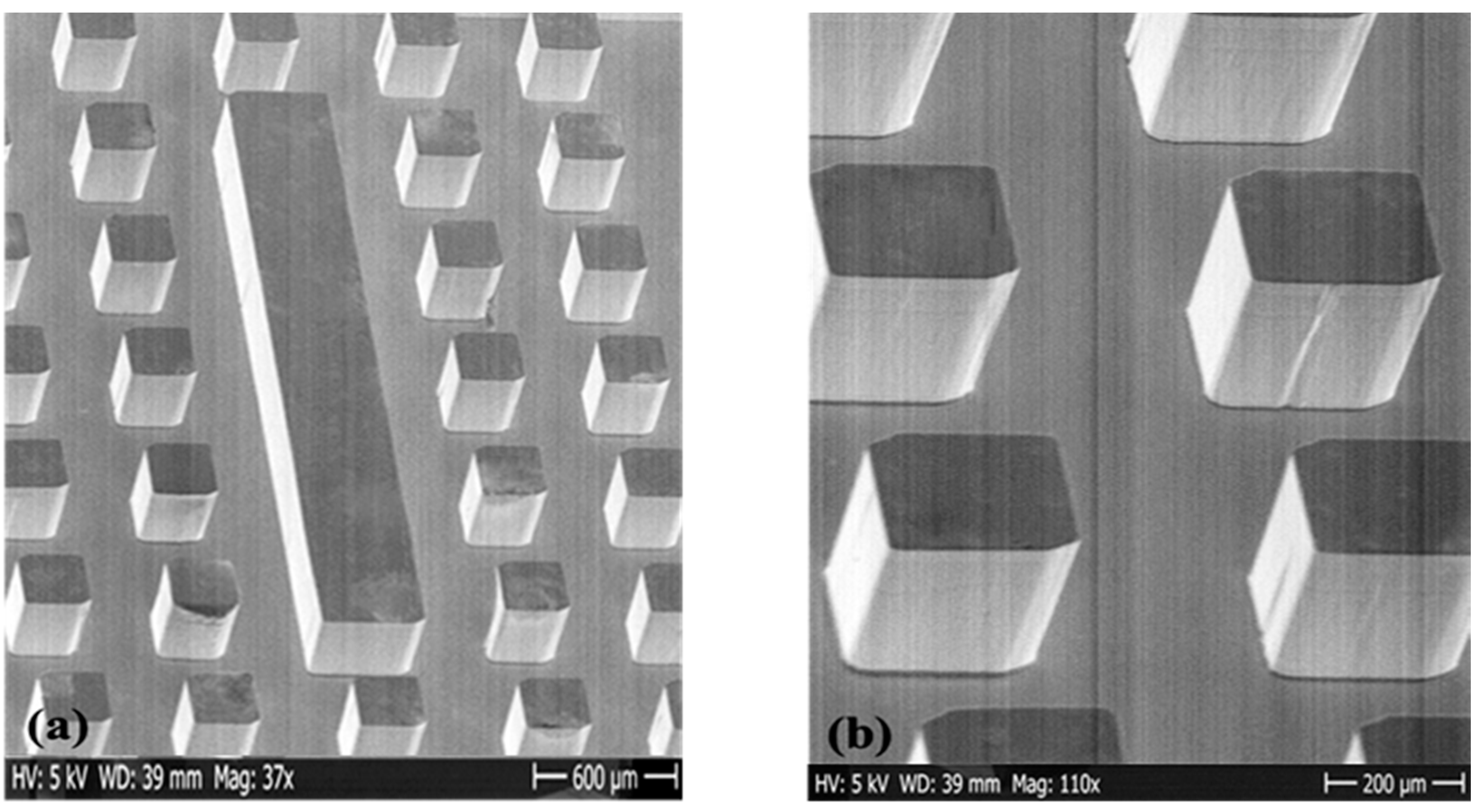 Micromachines 12 00260 g006 Micromachines 12 00260 g006