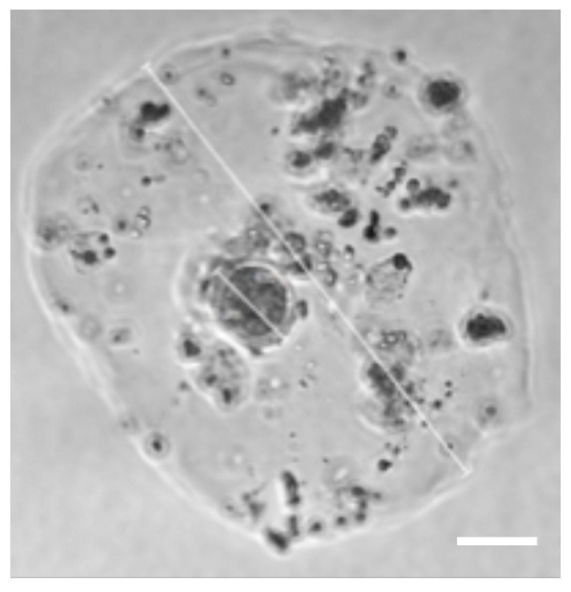 Micromachines 12 00261 g006 Micromachines 12 00261 g006