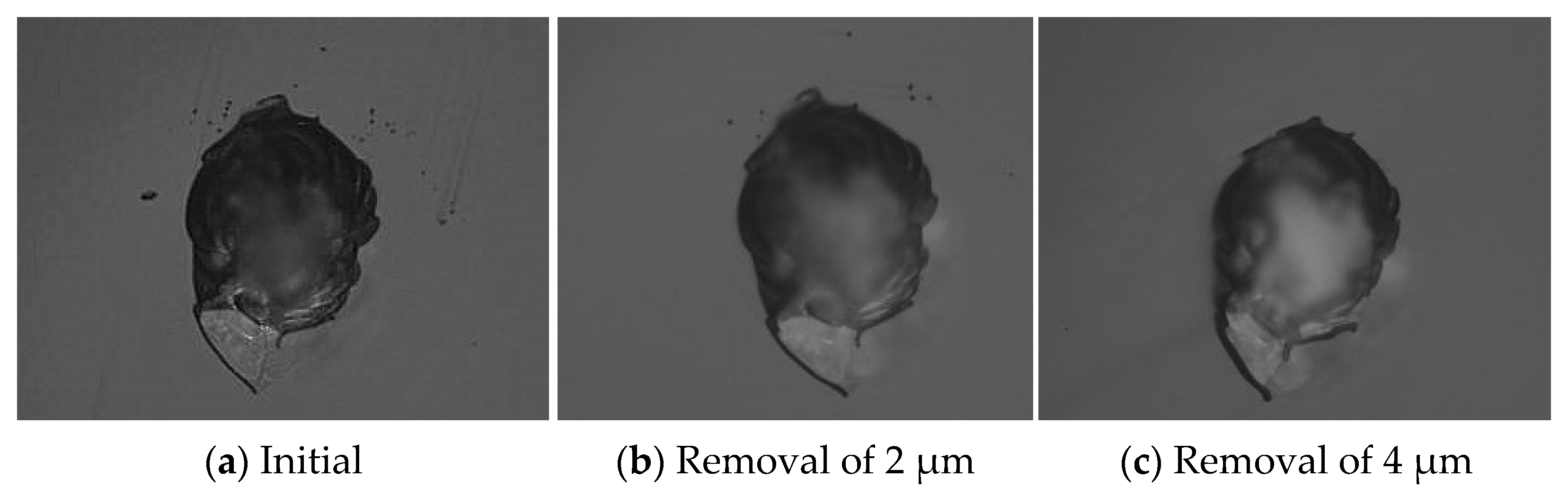 Micromachines 12 00274 g005