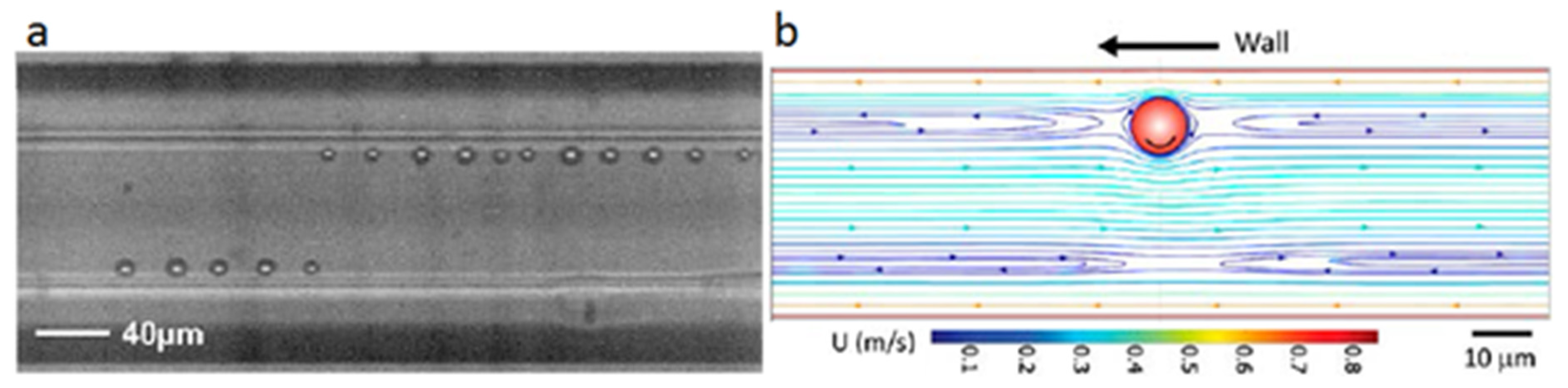 Micromachines 12 00277 g007